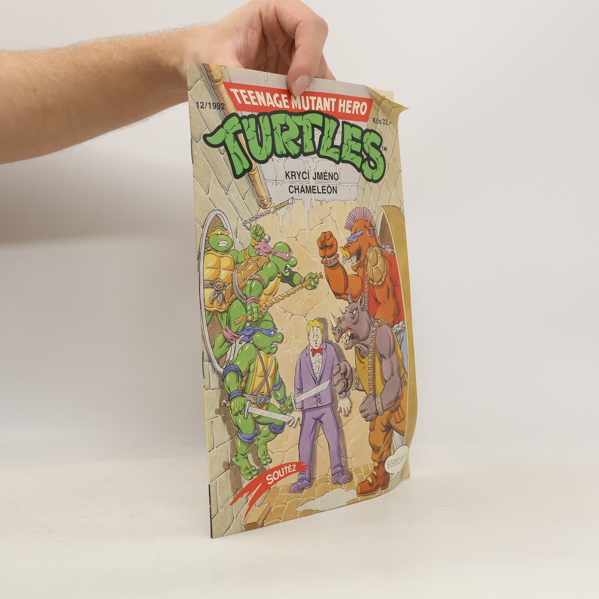Teenage Mutant Hero Turtles #12