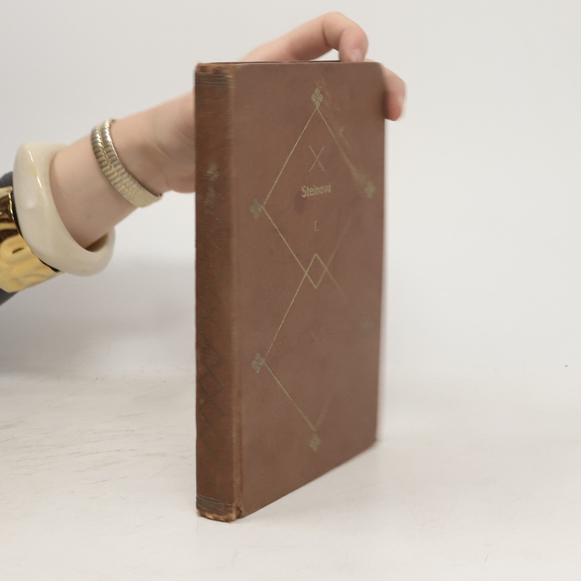 Auteurscollectief Steinová I.