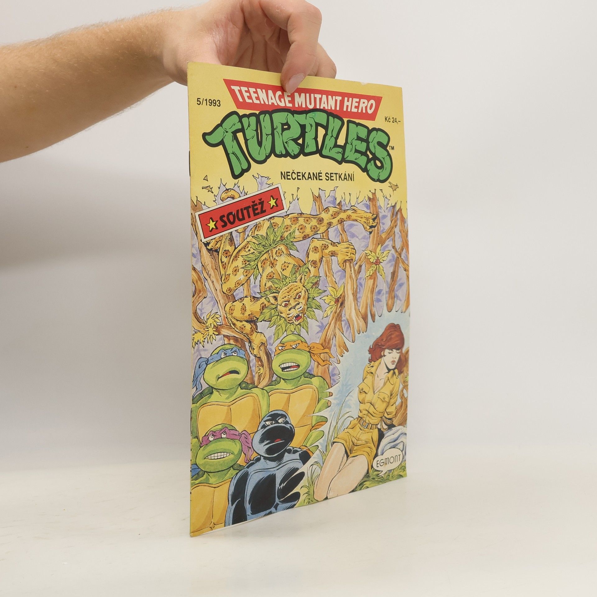 Auteurscollectief Teenage Mutant Hero Turtles. Nečekané setkání. 5/1993