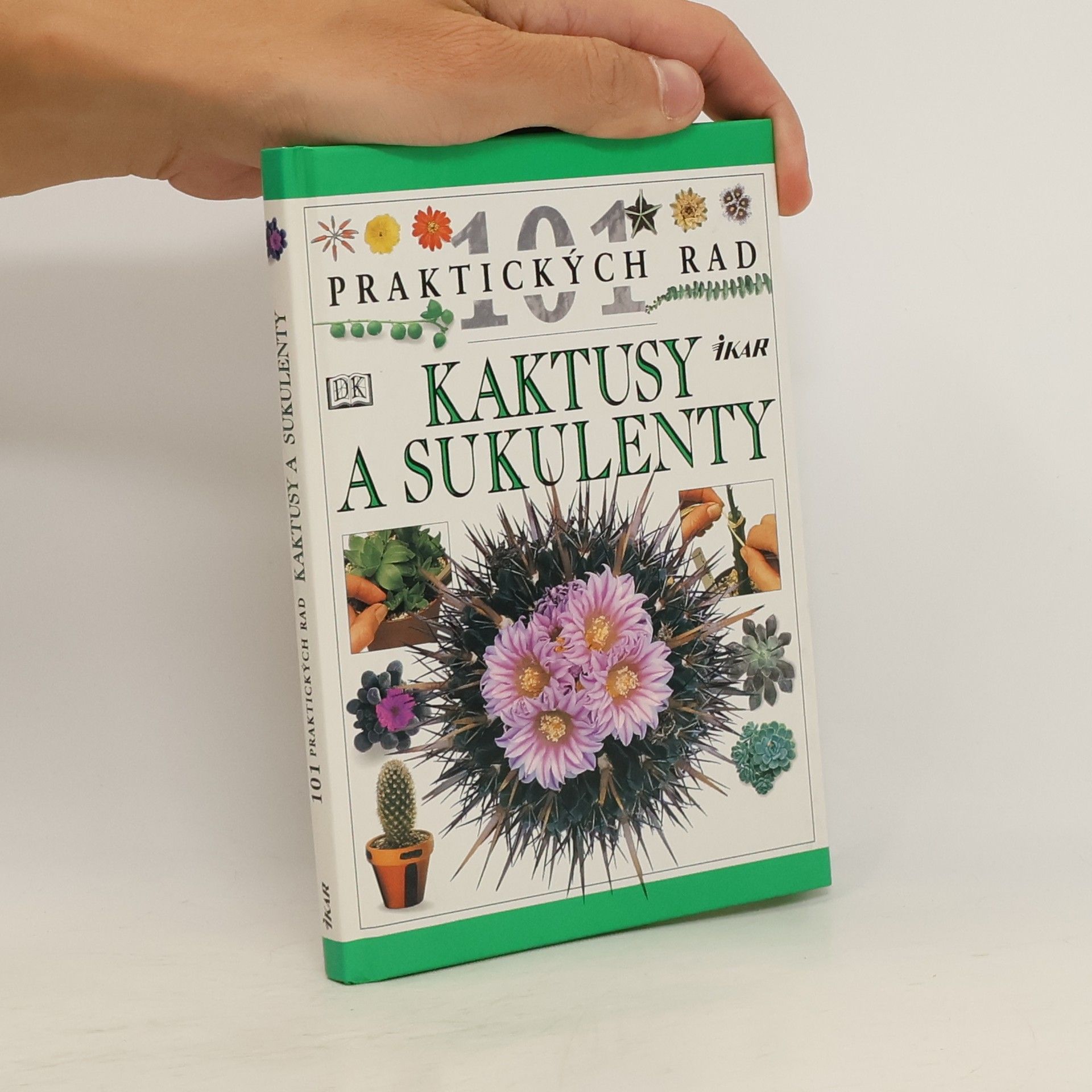 Terry Hewitt Kaktusy a sukulenty