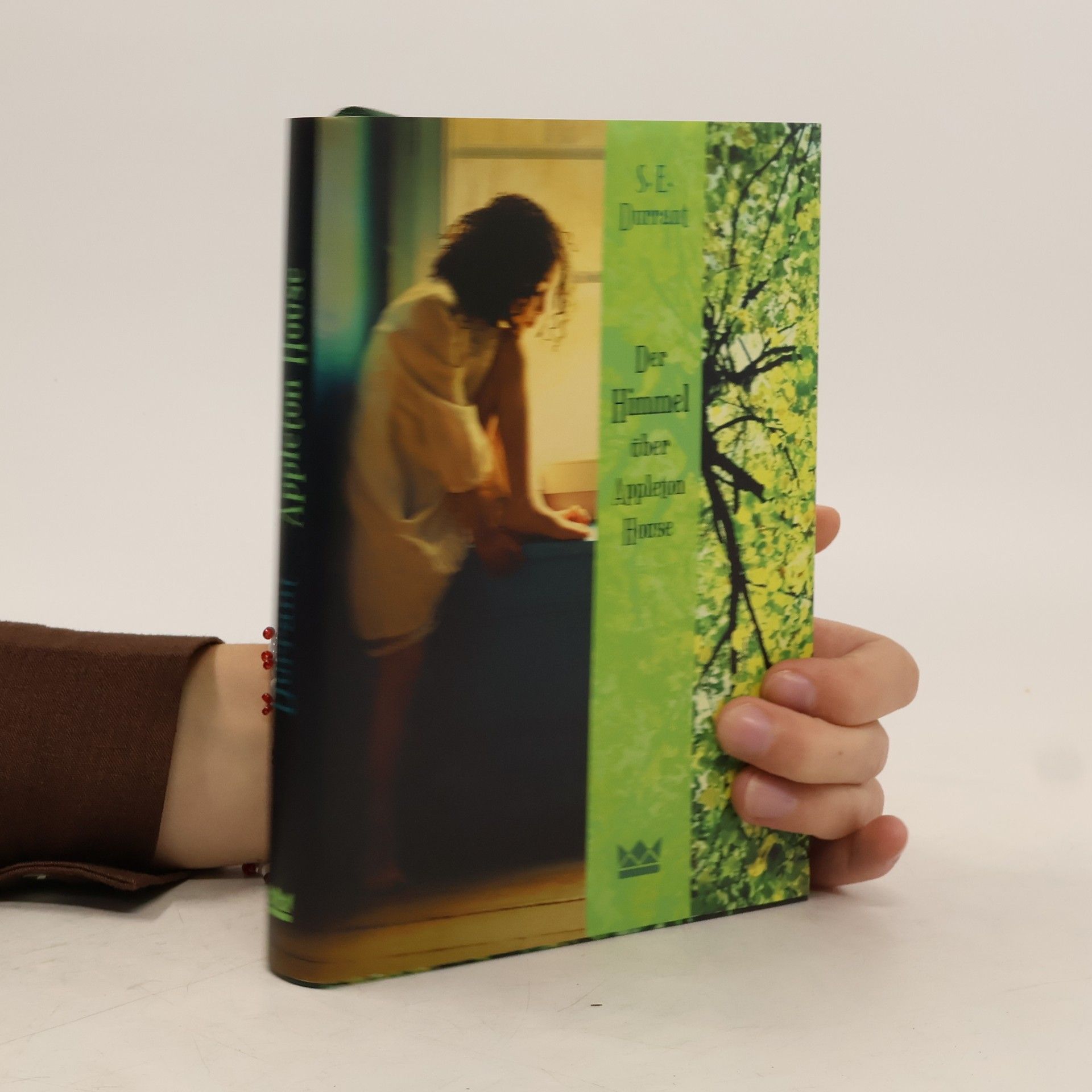 S. E. Durrant Der Himmel über Appleton House