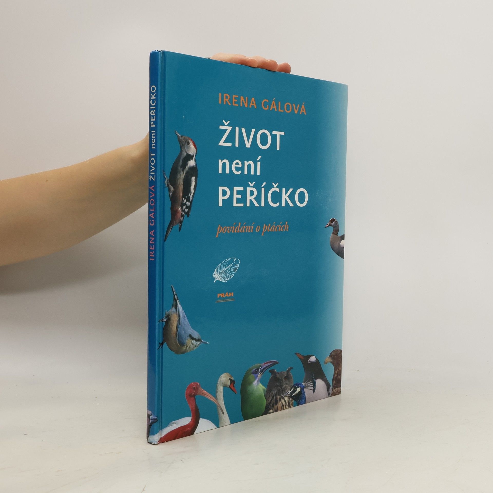 Život není peříčko: Povídání o ptácích
