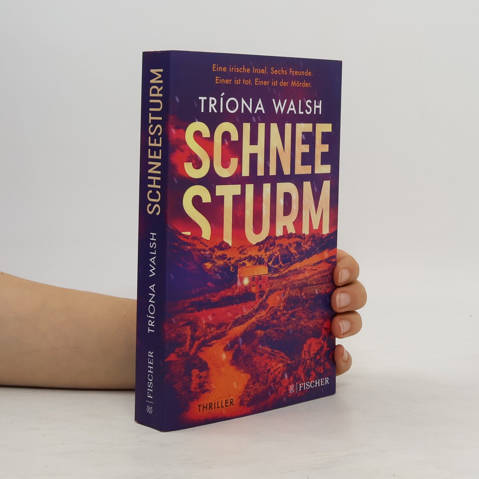 Tríona Walsh Schneesturm