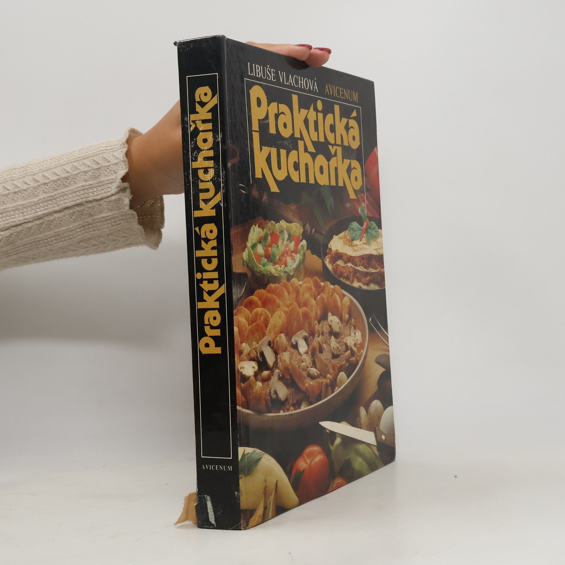 Libuše Vlachová Praktická kuchařka