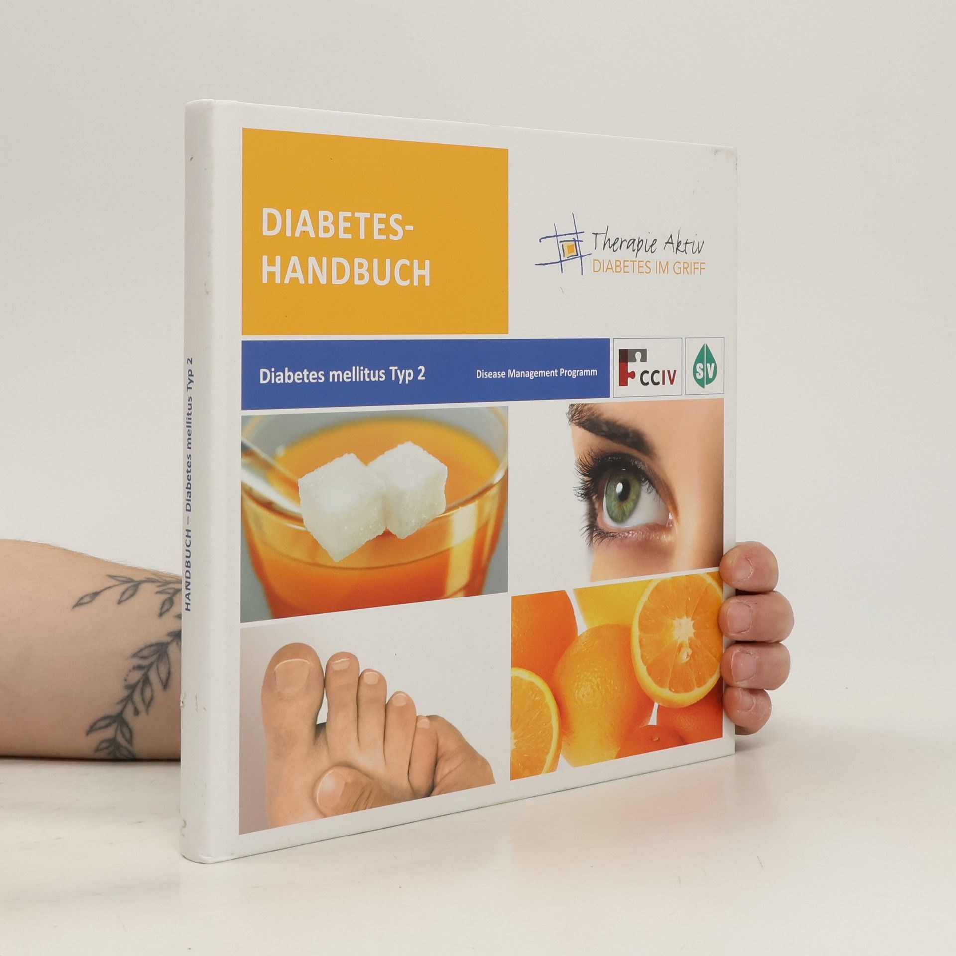Autorenkollektiv Diabetes-Handbuch. Diabetes mellitus Typ 2