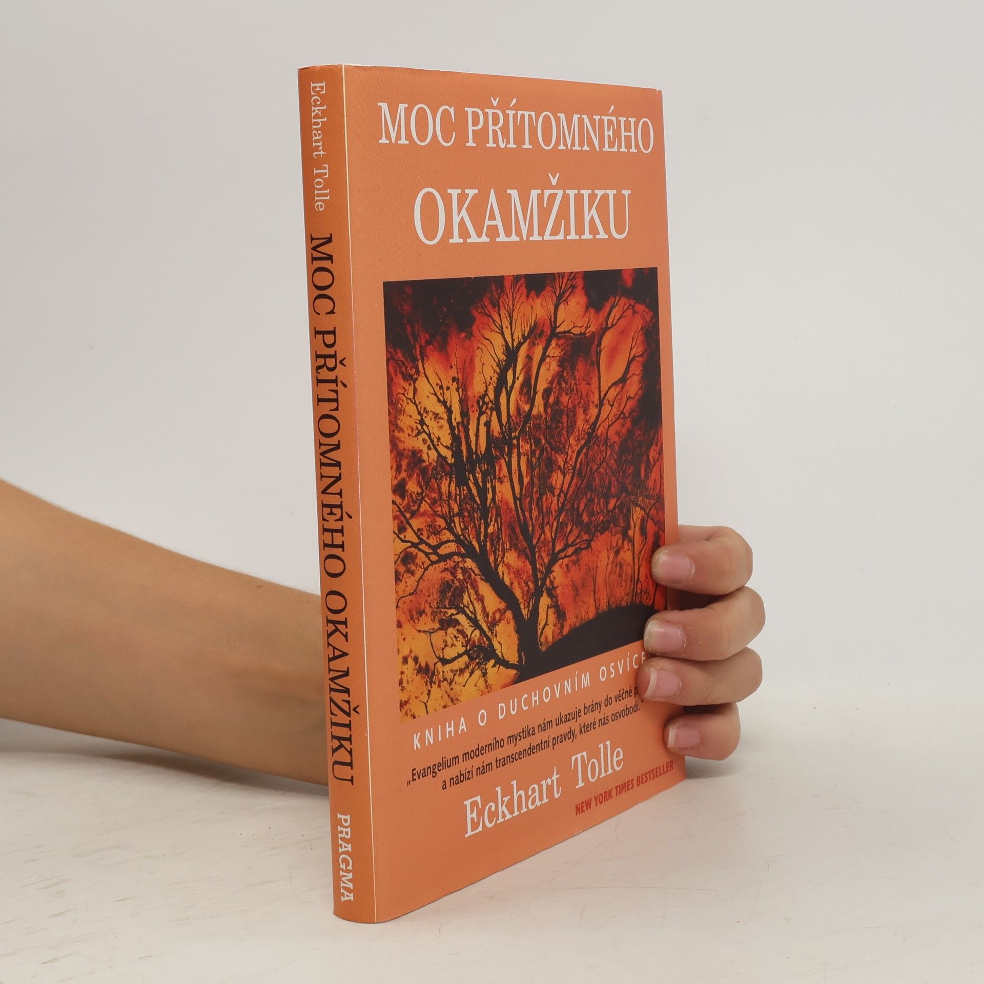 Eckhart Tolle Moc přítomného okamžiku