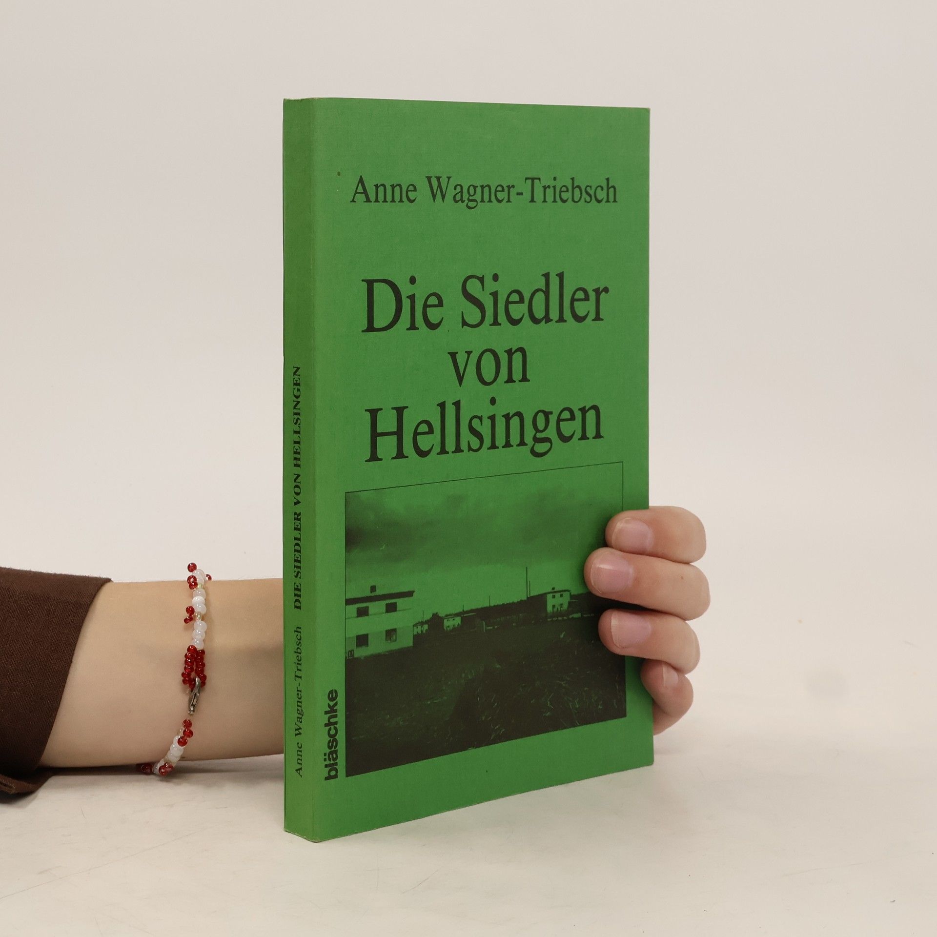 Die Siedler von Hellsingen