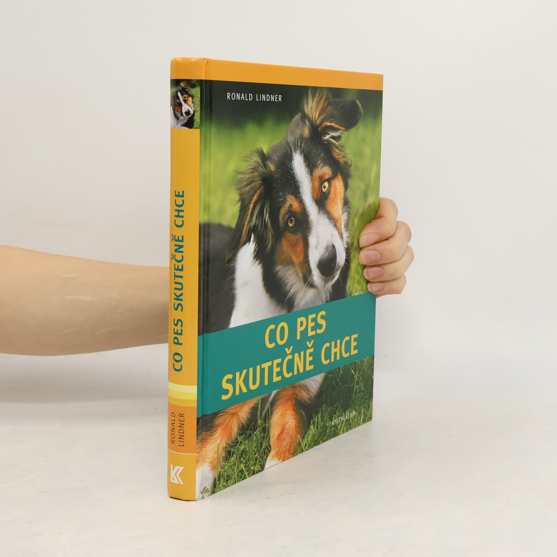 Co pes skutečně chce