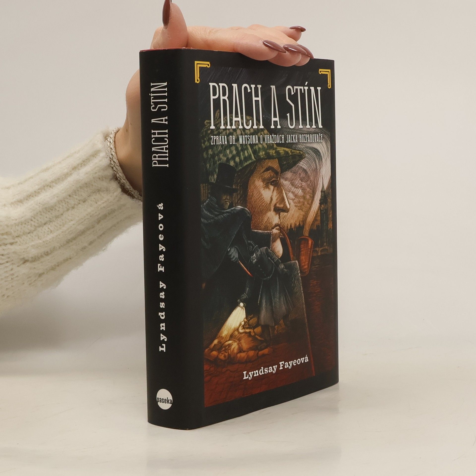 Lyndsay Faye Prach a stín