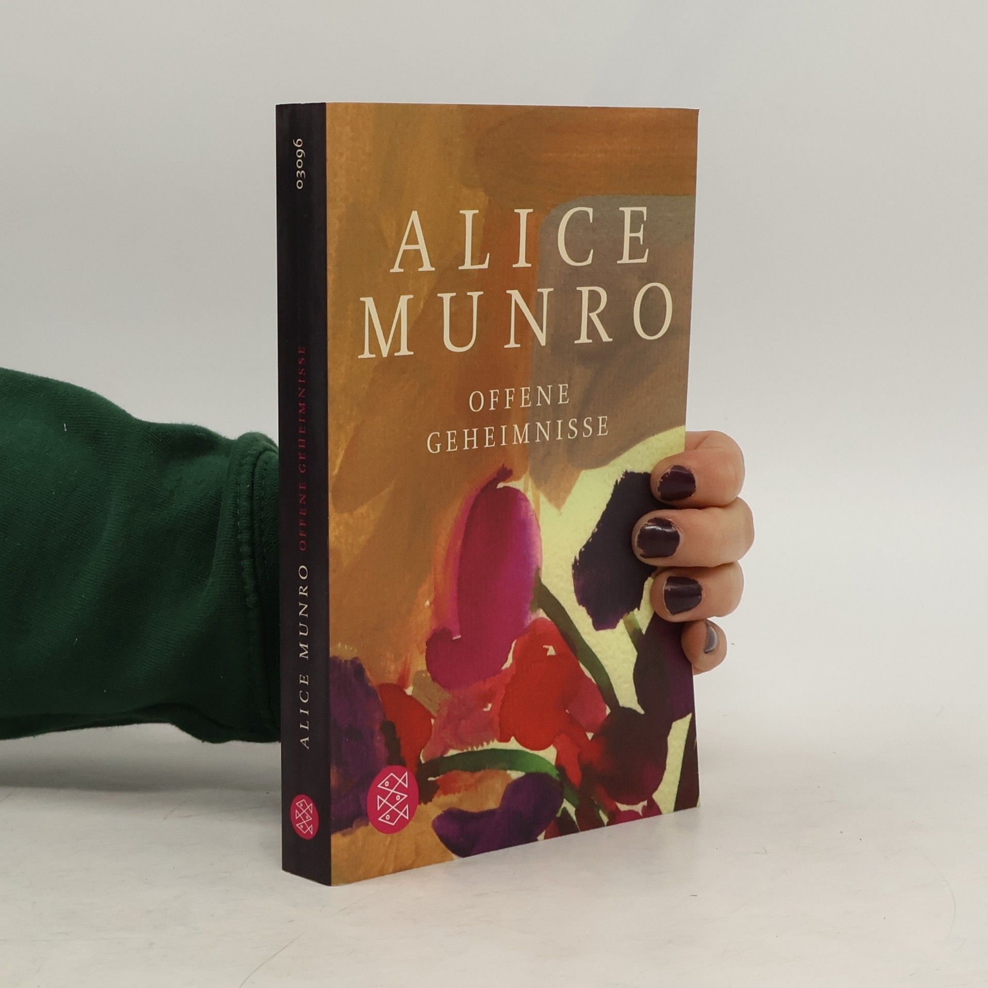 Alice Munro Offene Geheimnisse