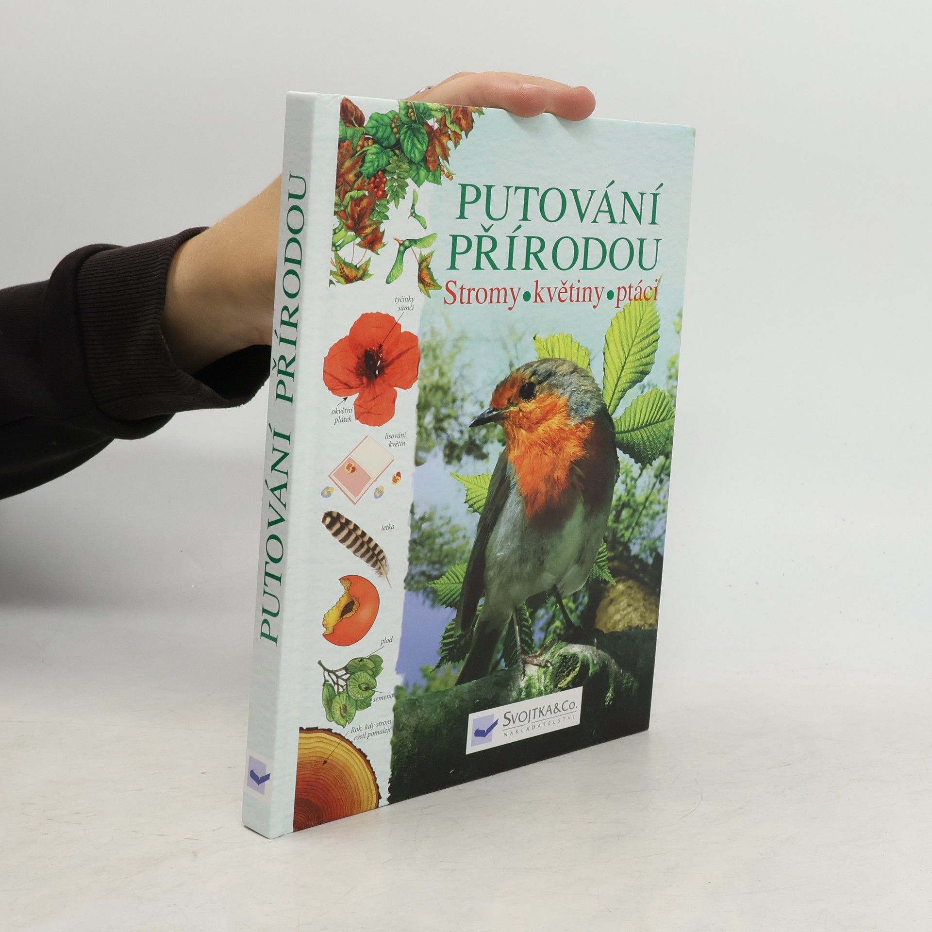 Kolektiv autorů Putování přírodou: Stromy, květiny, ptáci