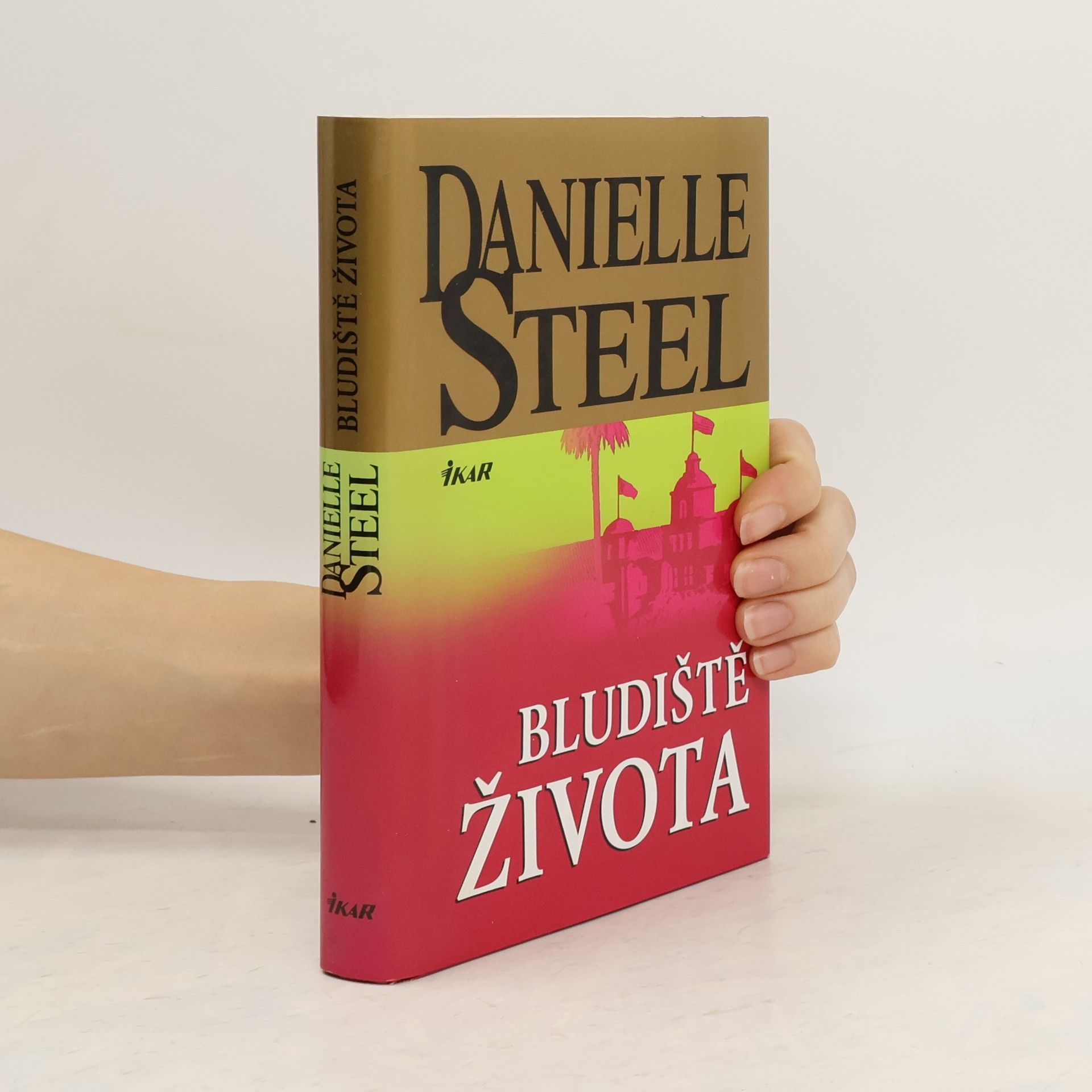 Danielle Steel Bludiště života