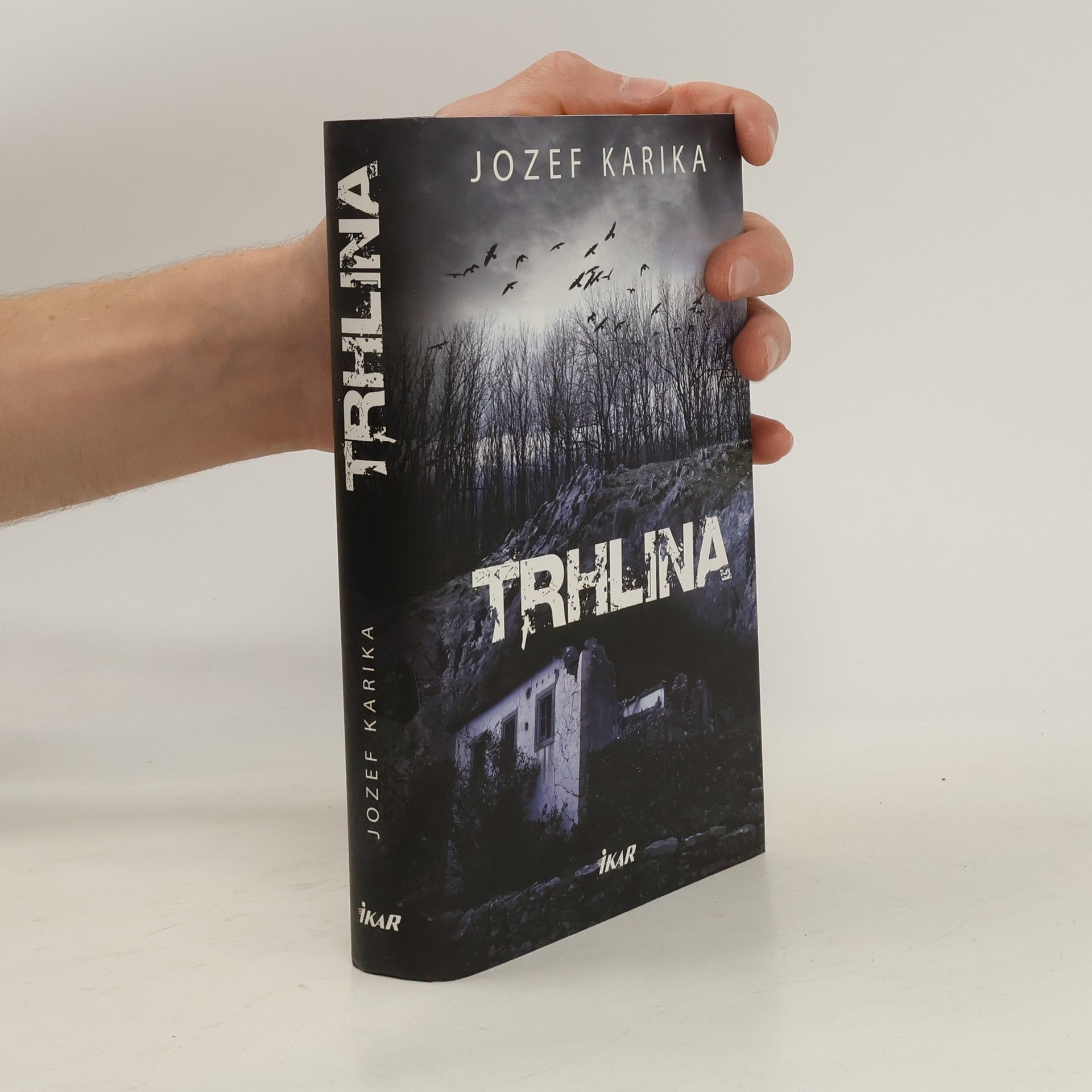 Jozef Karika Trhlina