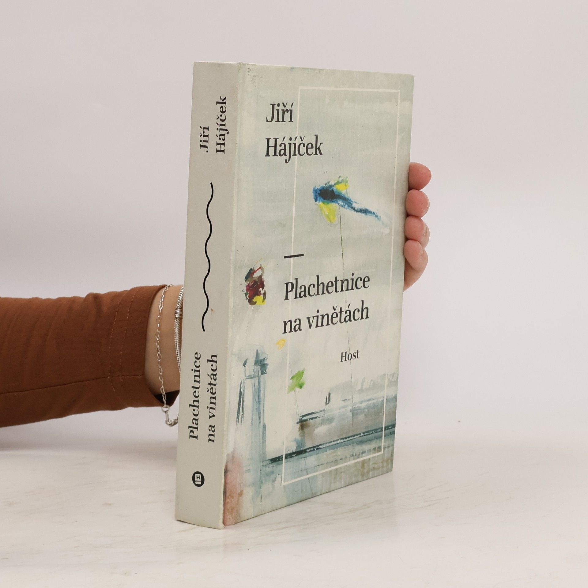 Jiří Hájíček Plachetnice na vinětách