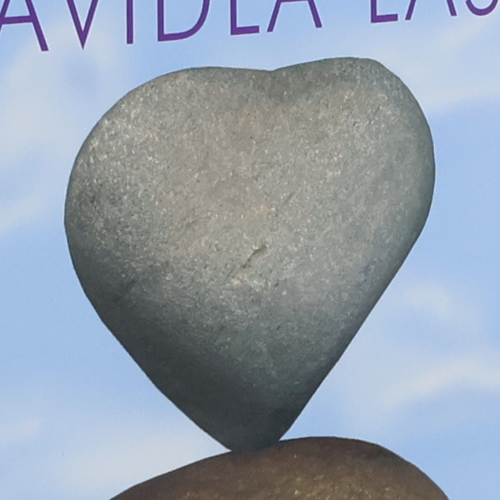 Freya North Pravidla lásky