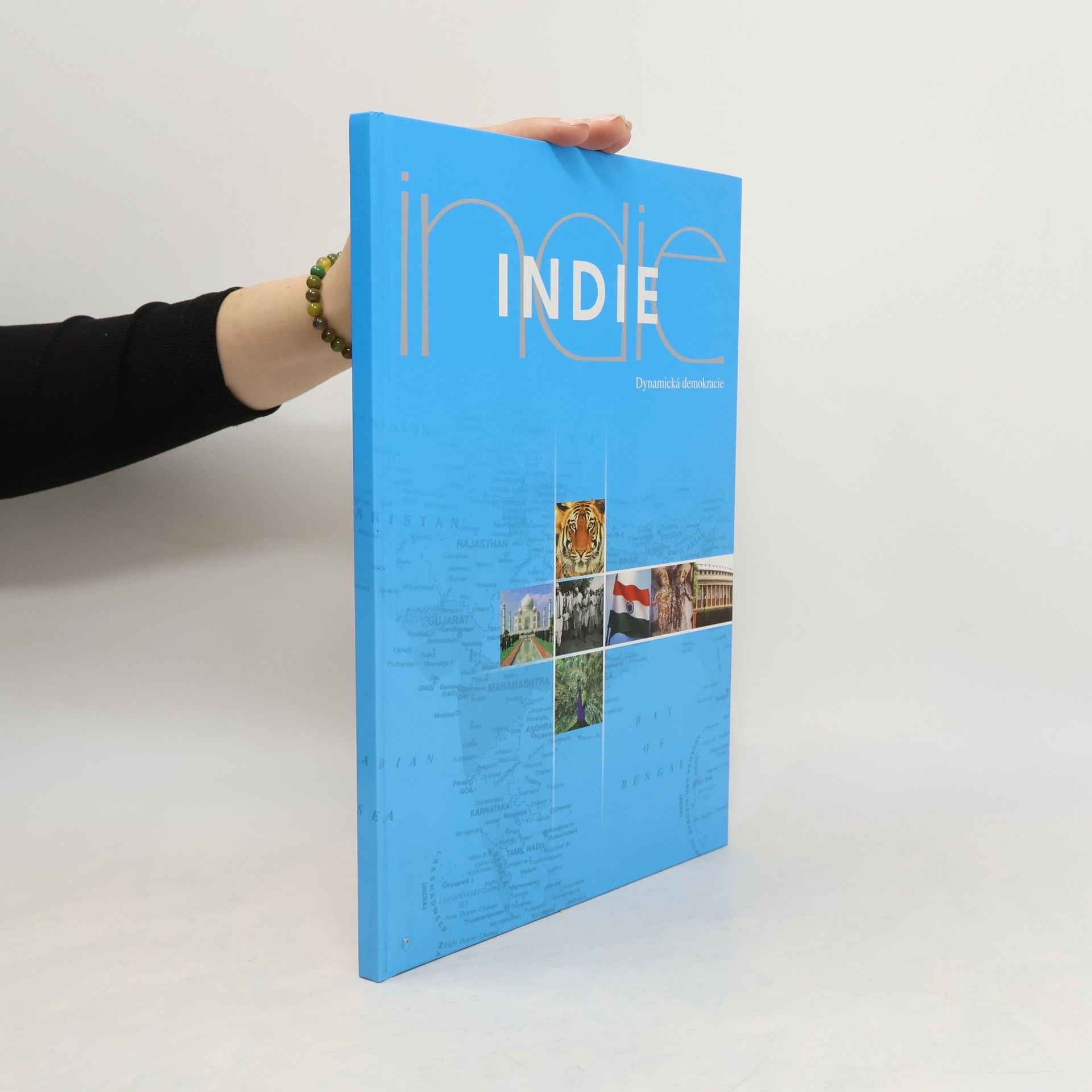 AA.VV. Indie. Dynamická demokracie