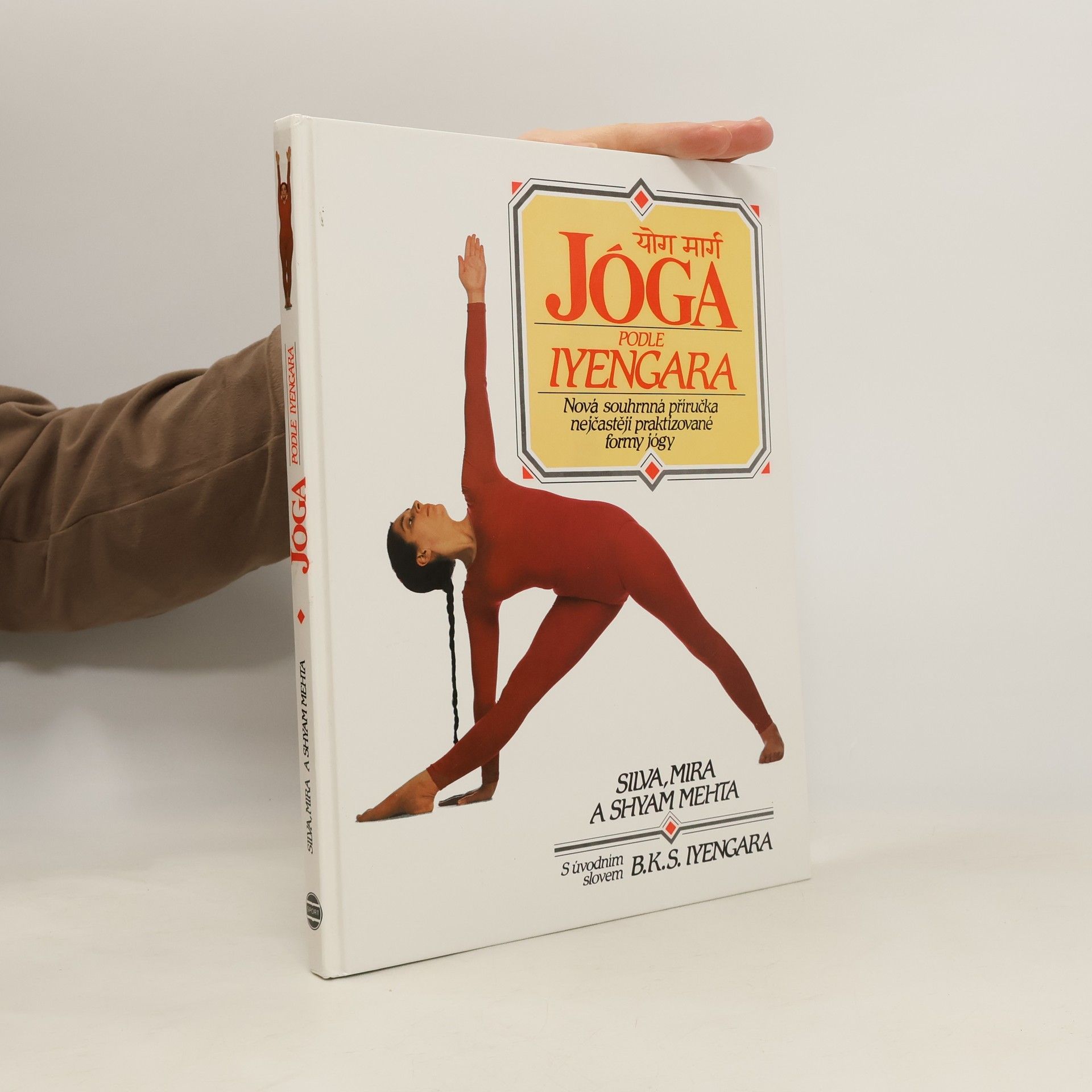 Jóga podle Iyengara