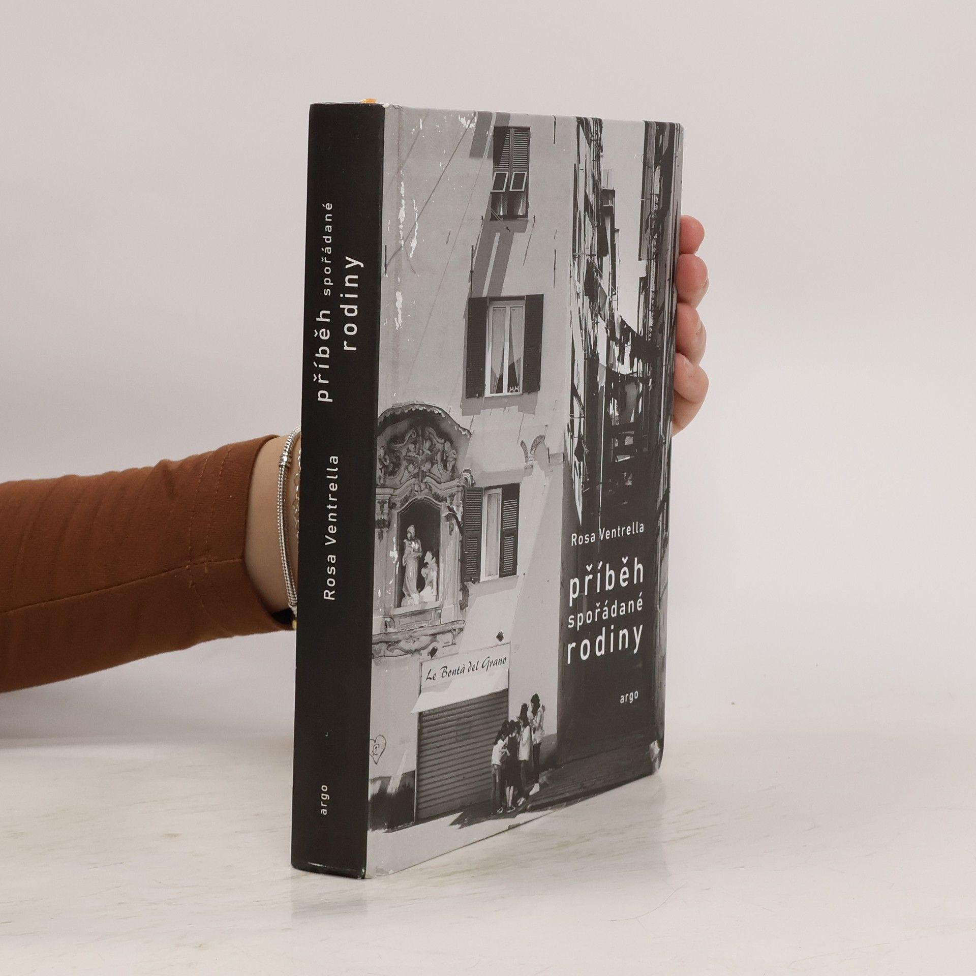 Rosa Ventrella Příběh spořádané rodiny