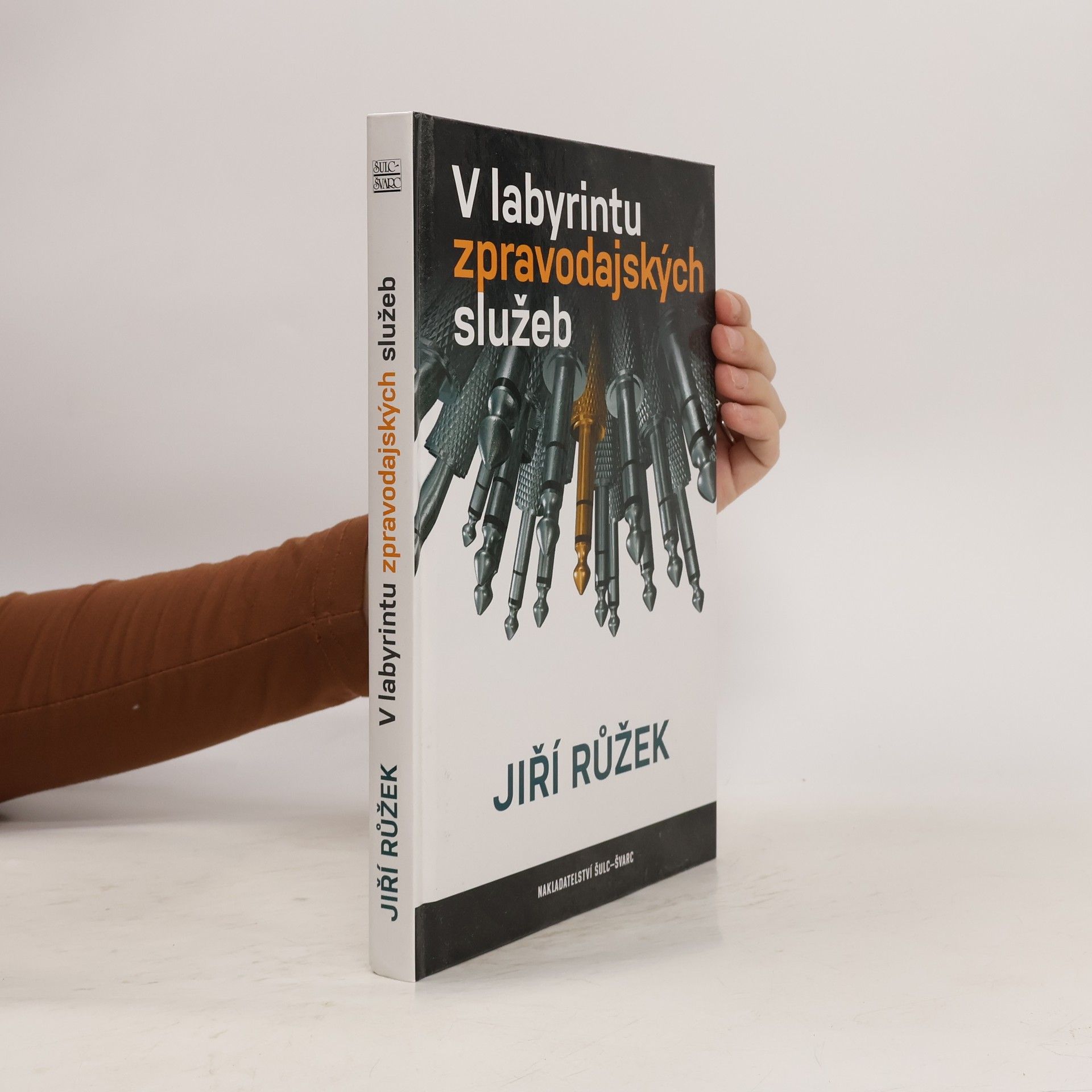 Jiří Růžek V labyrintu zpravodajských služeb