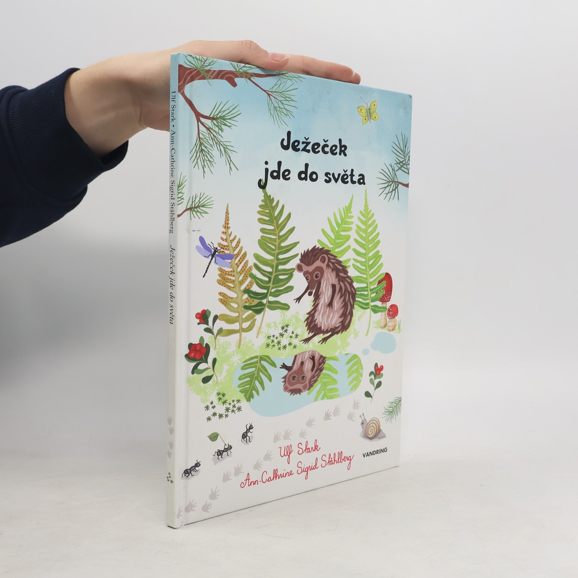 Ježeček jde do světa