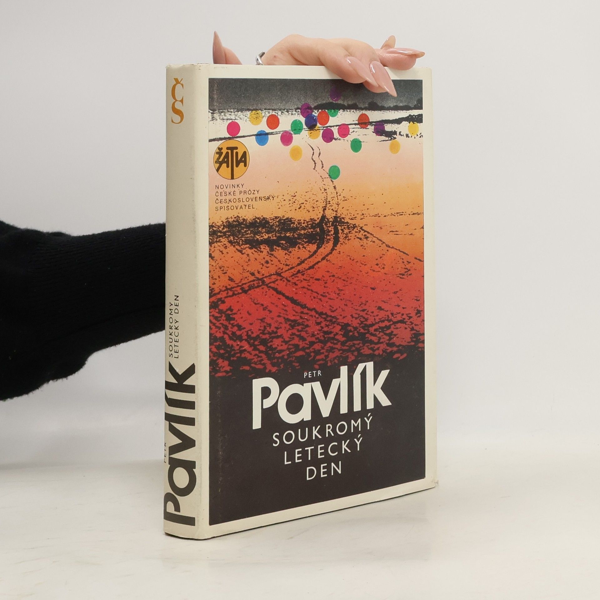 Soukromý letecký den