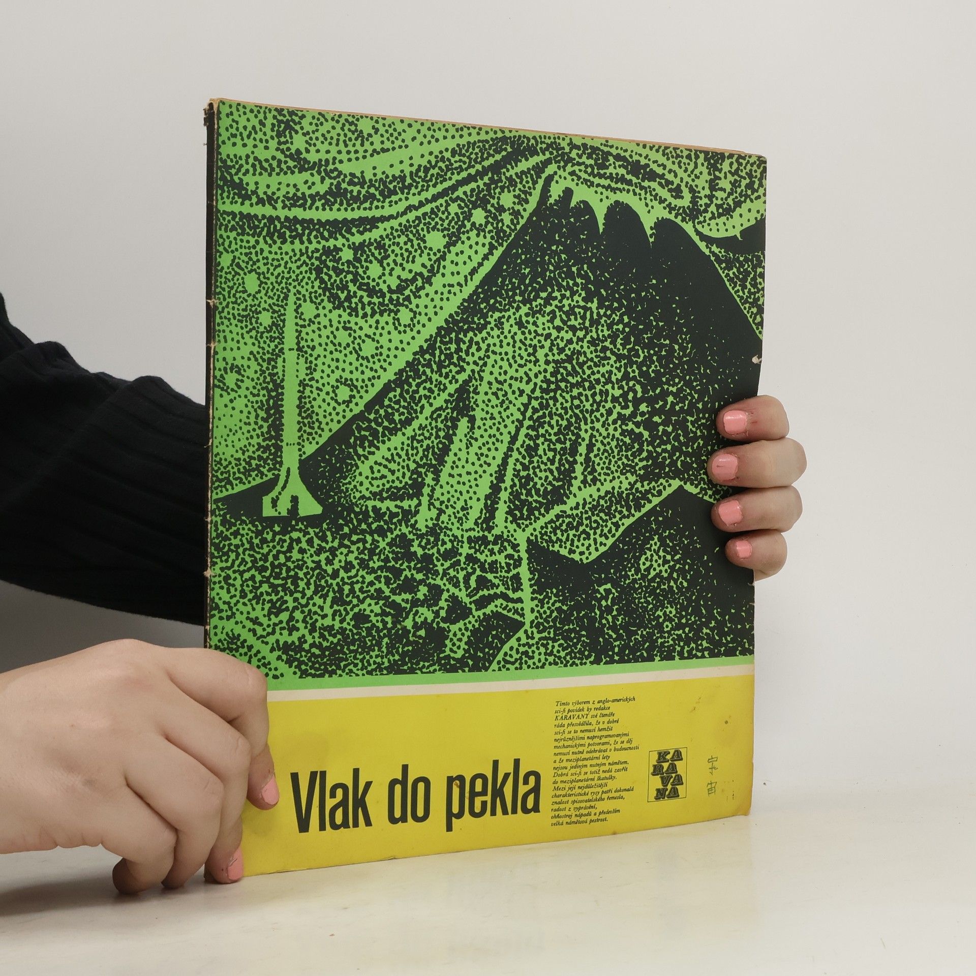 Collectif d'auteurs Vlak do pekla