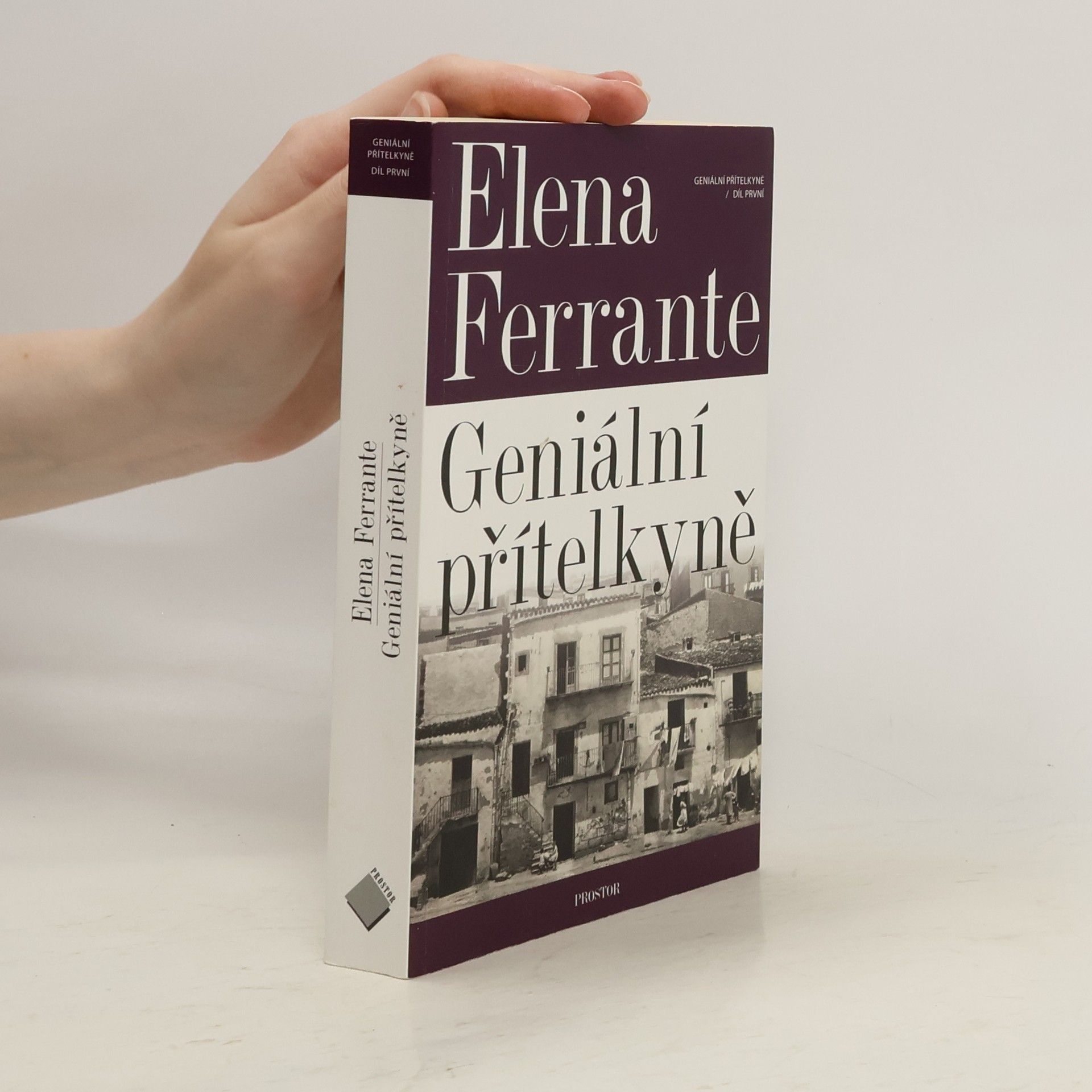 Elena Ferrante Geniální přítelkyně 1. Dětství a dospívání