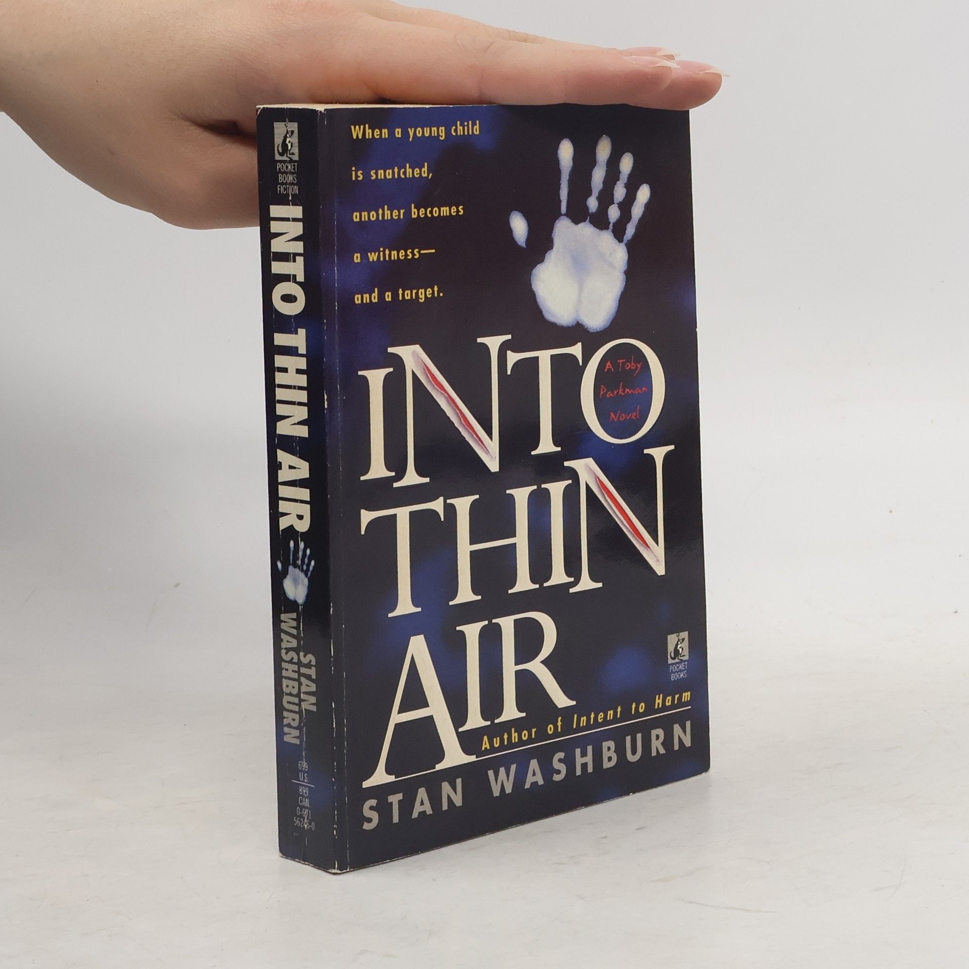 Stanley Washburn Into Thin Air