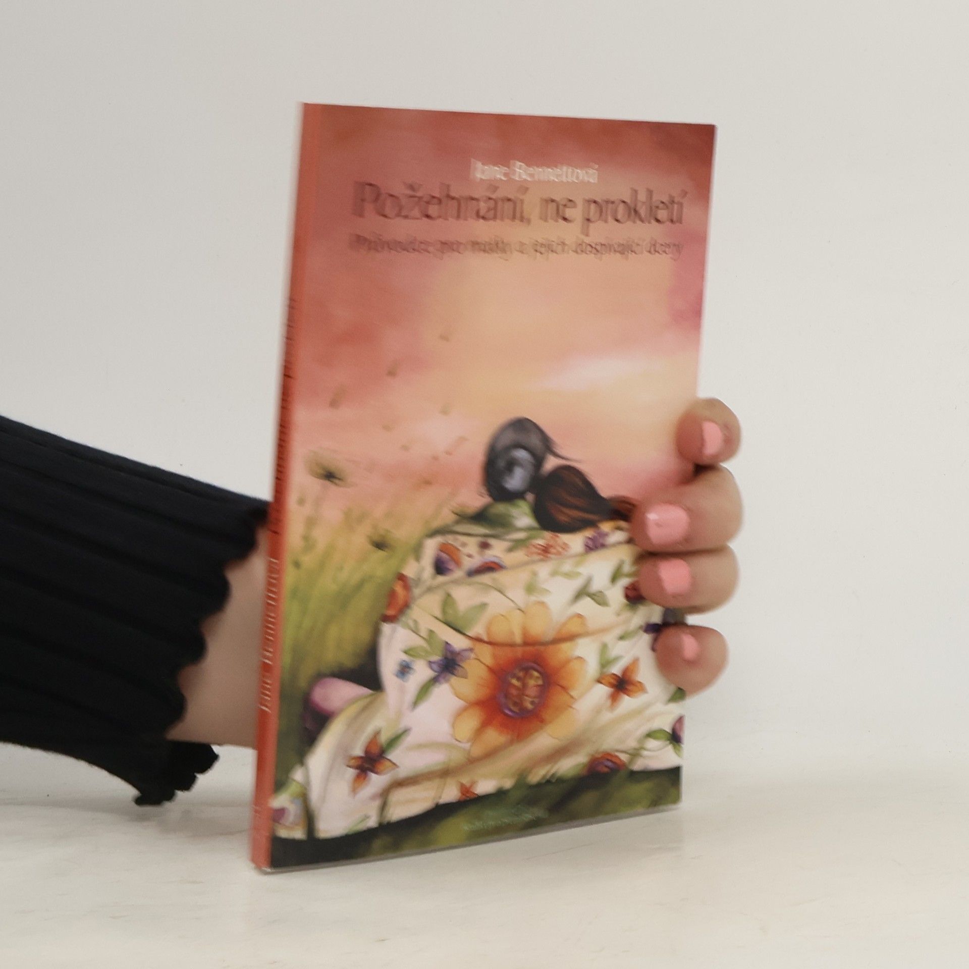 Požehnání, ne prokletí : průvodce pro matky a jejich dospívající dcery