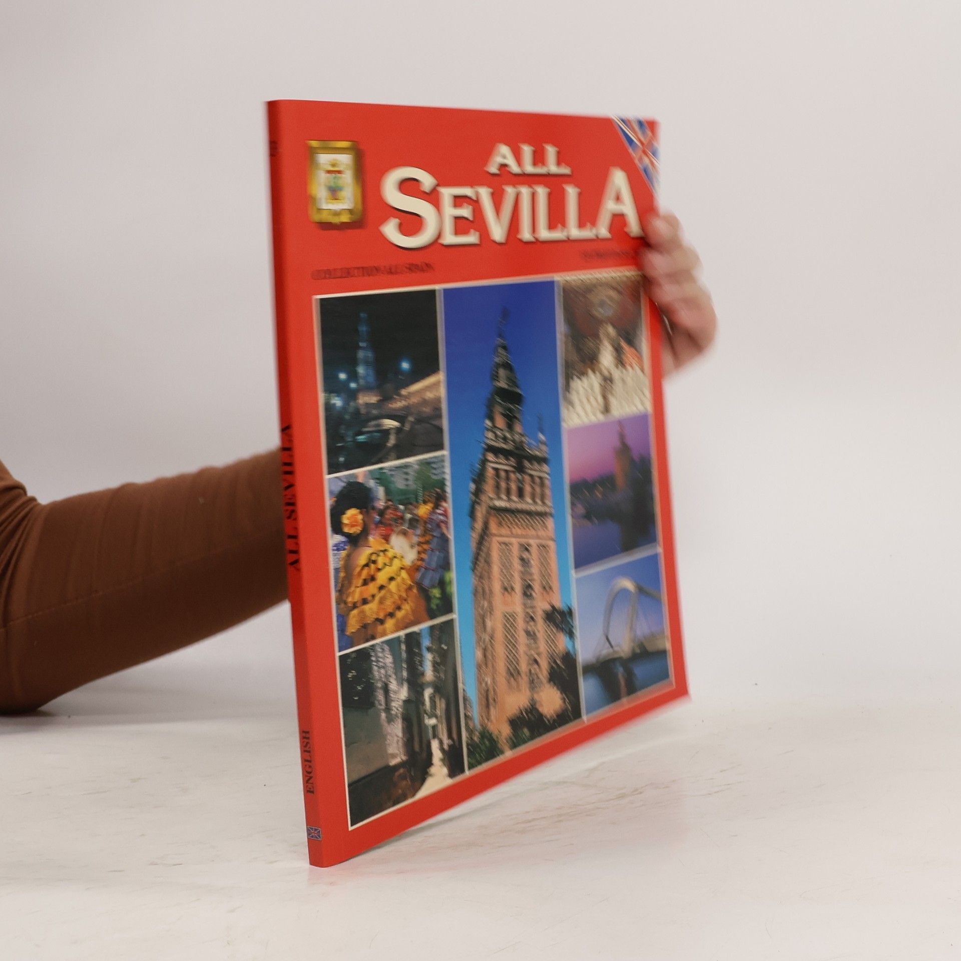 Kolektív autorov All Seville