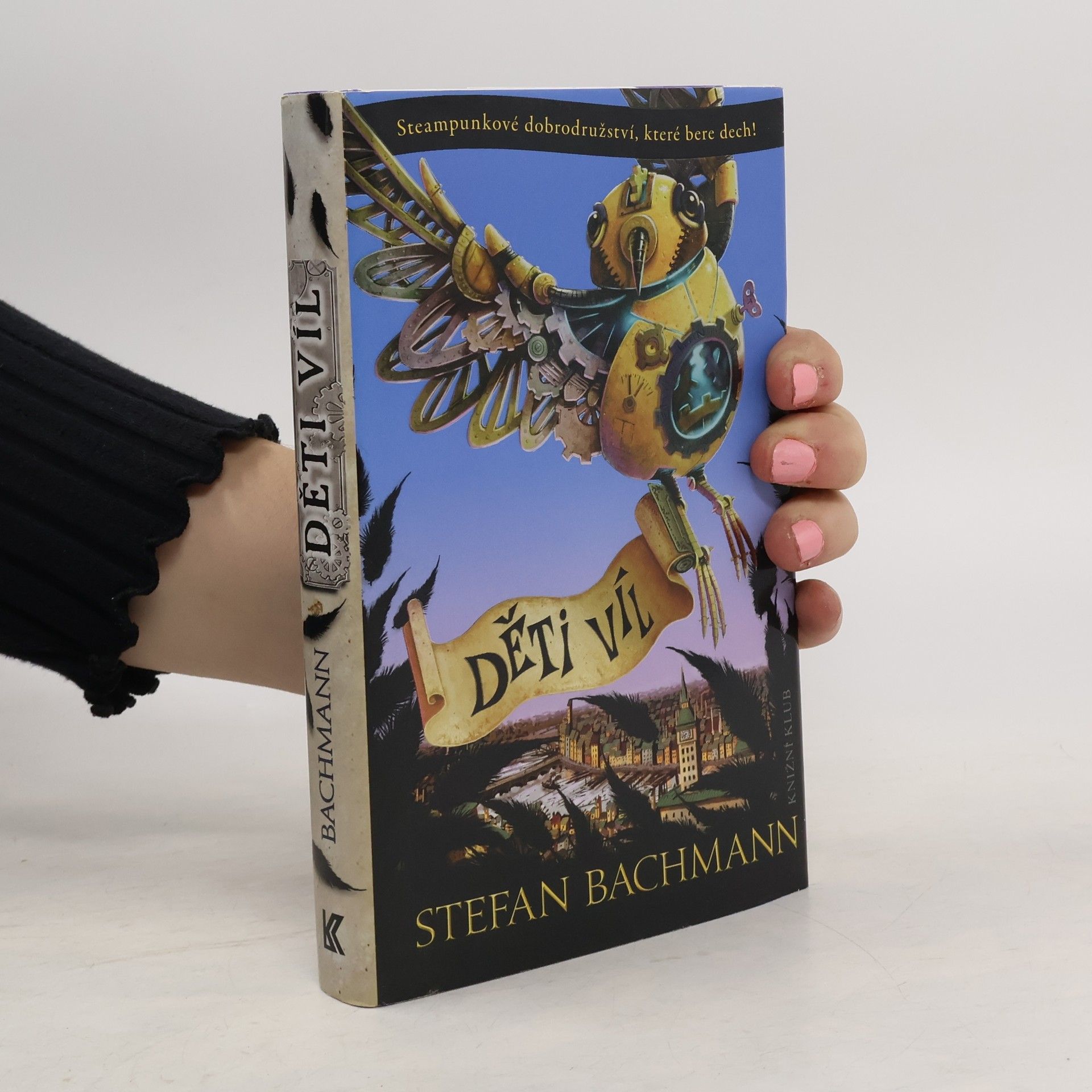 Stefan Bachmann Děti víl