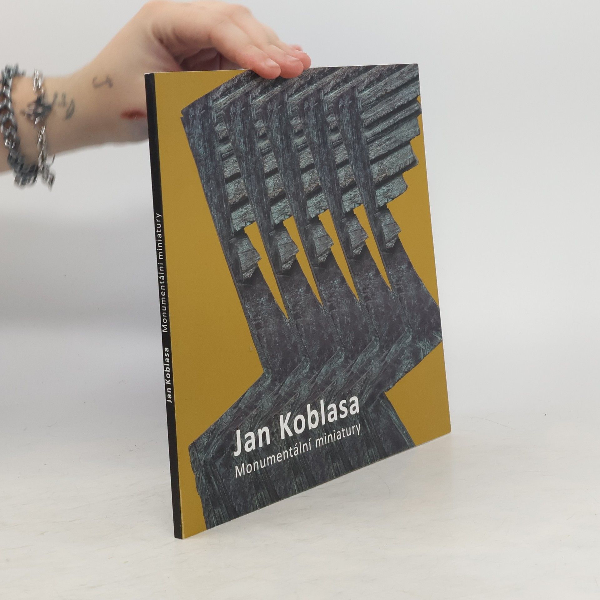 Collectif d'auteurs Jan Koblasa