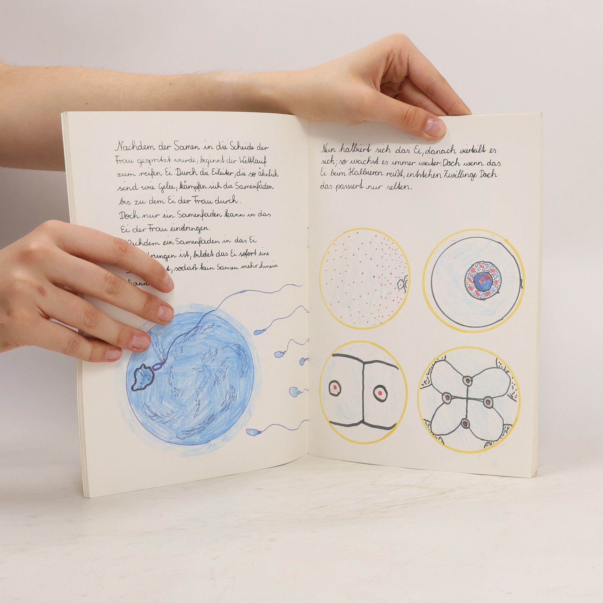 kolektiv Ein Buch von Kindern für Kinder. So geht's das!