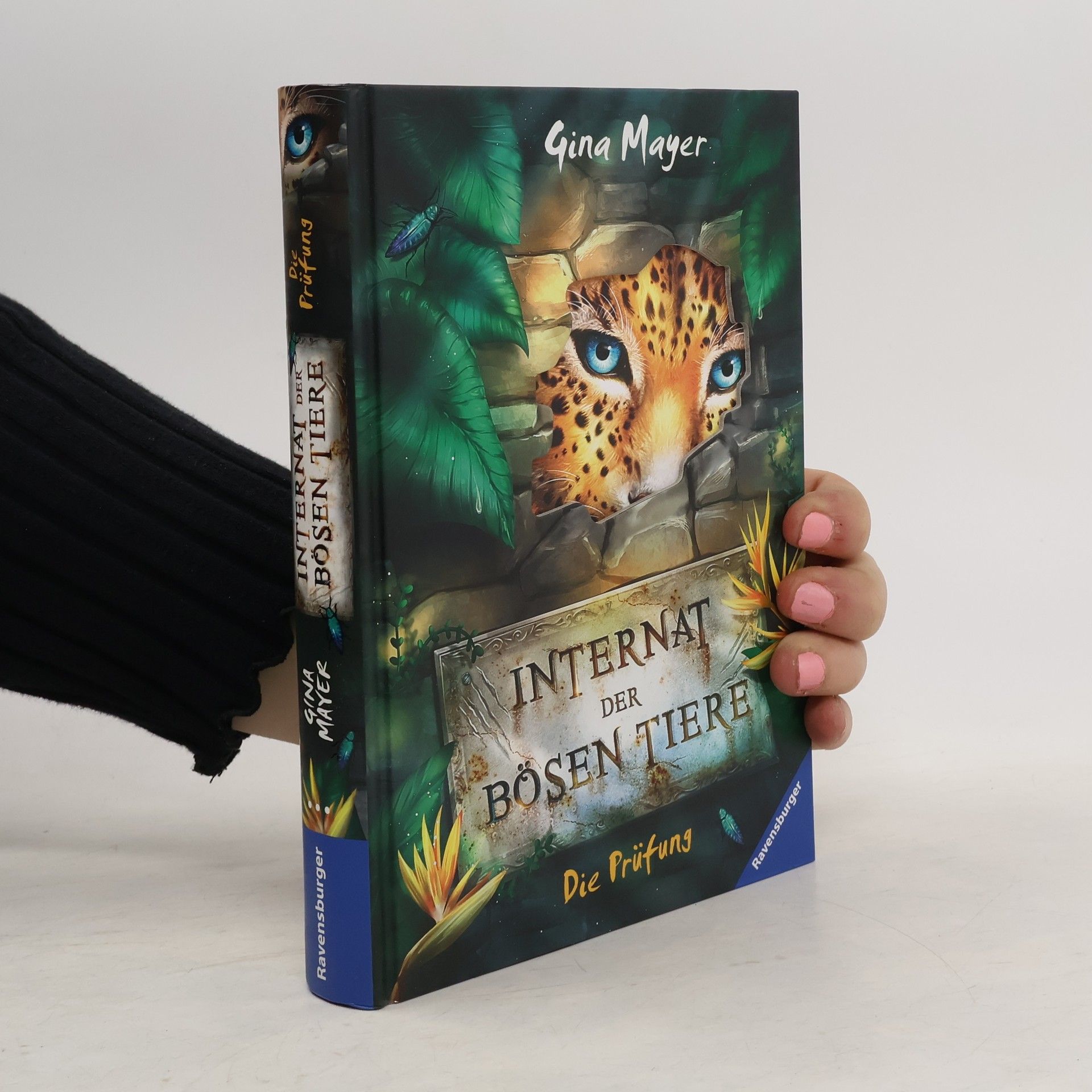 Gina Mayer Das Internat der bösen Tiere