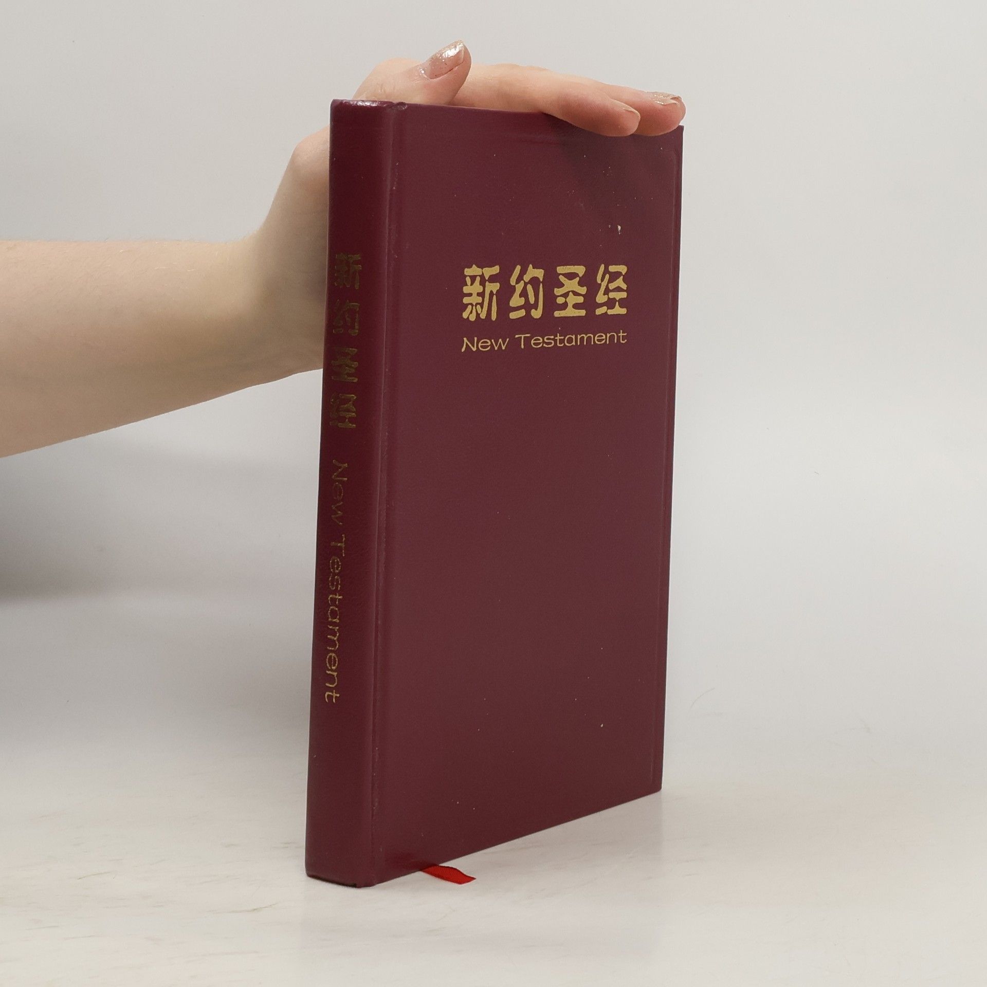 Auteurscollectief New Testament