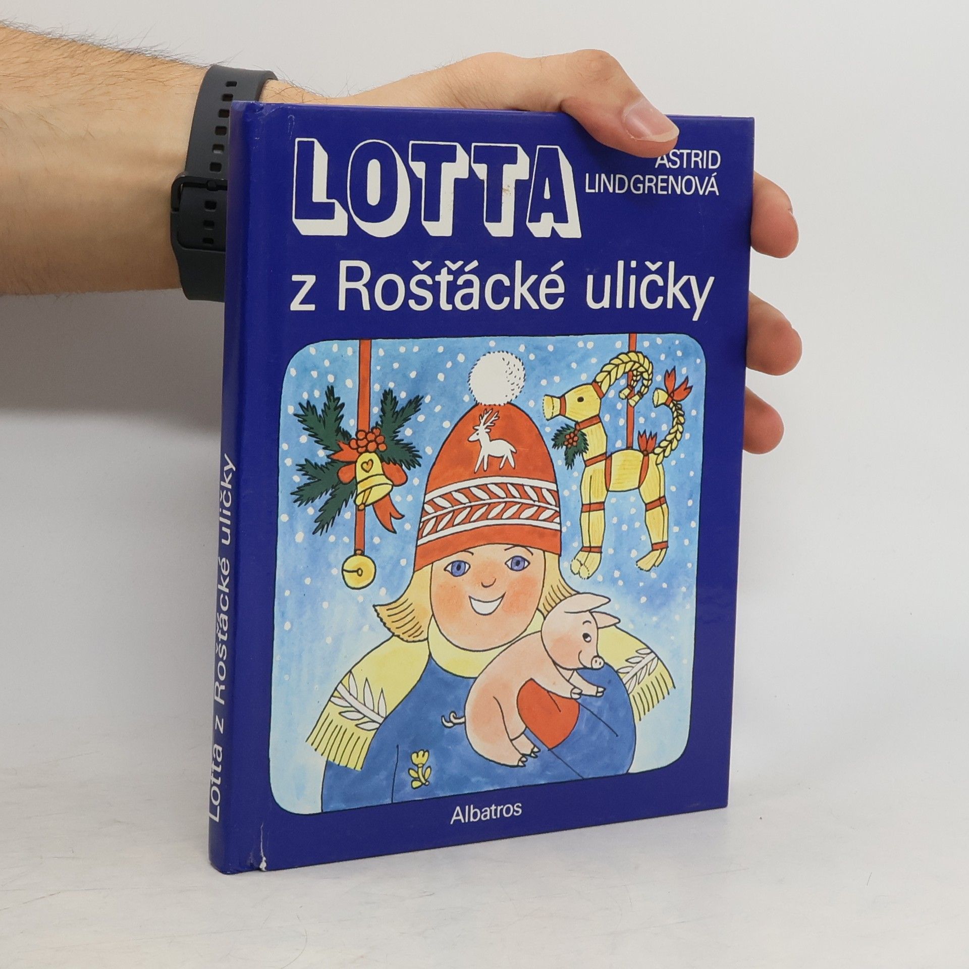 Lotta z Rošťácké uličky