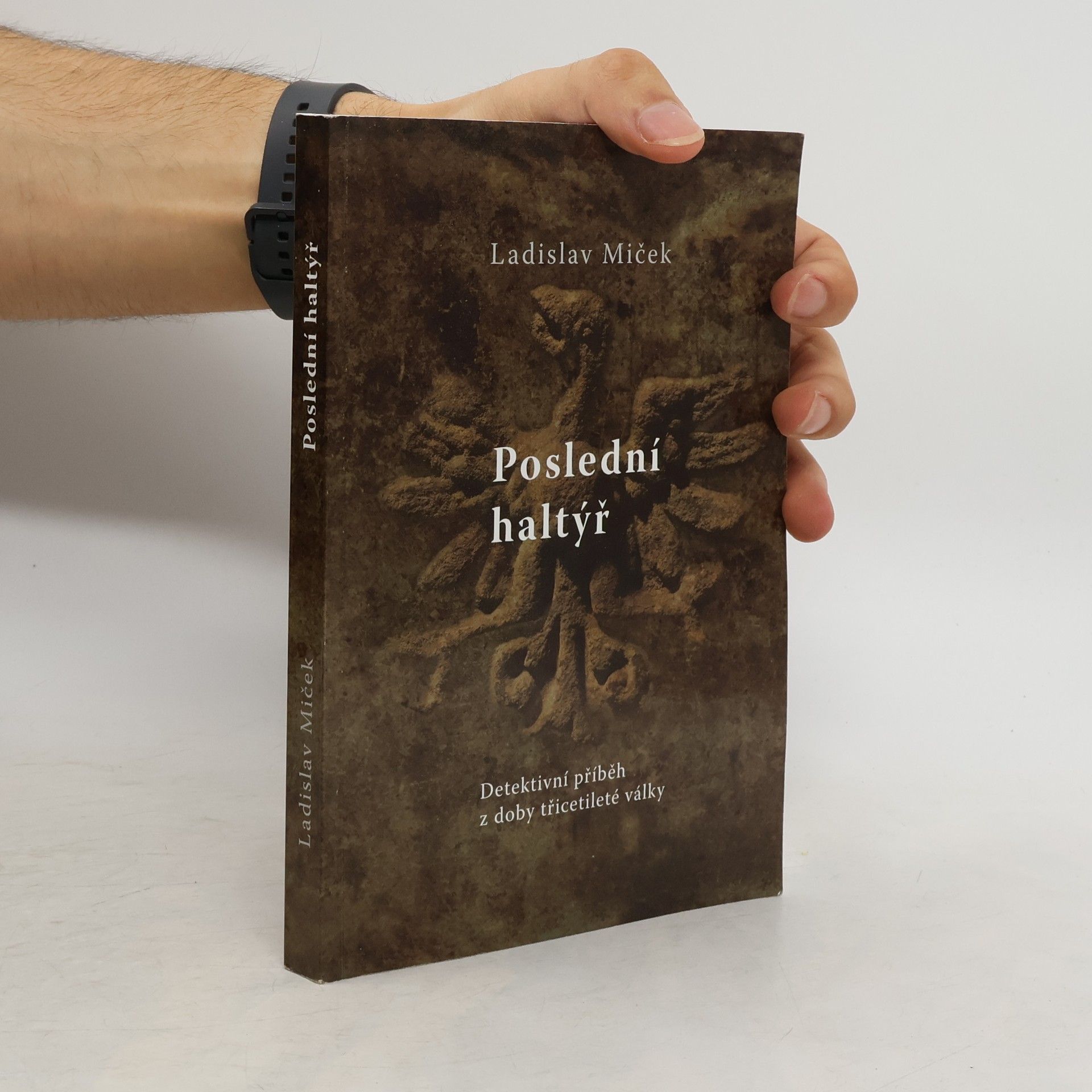 Poslední haltýř : detektivní příběh z doby třicetileté války