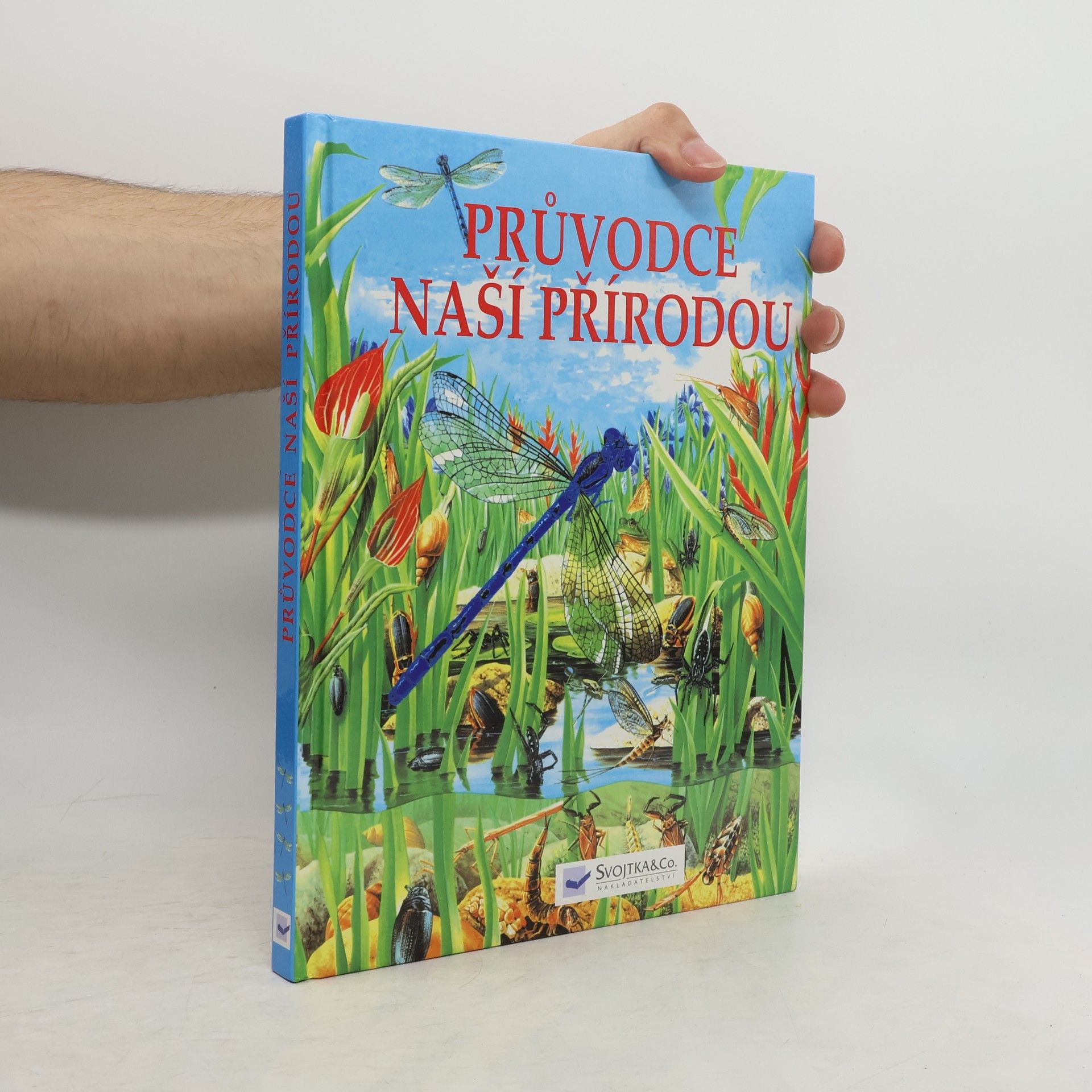 Autorenkollektiv Průvodce naší přírodou