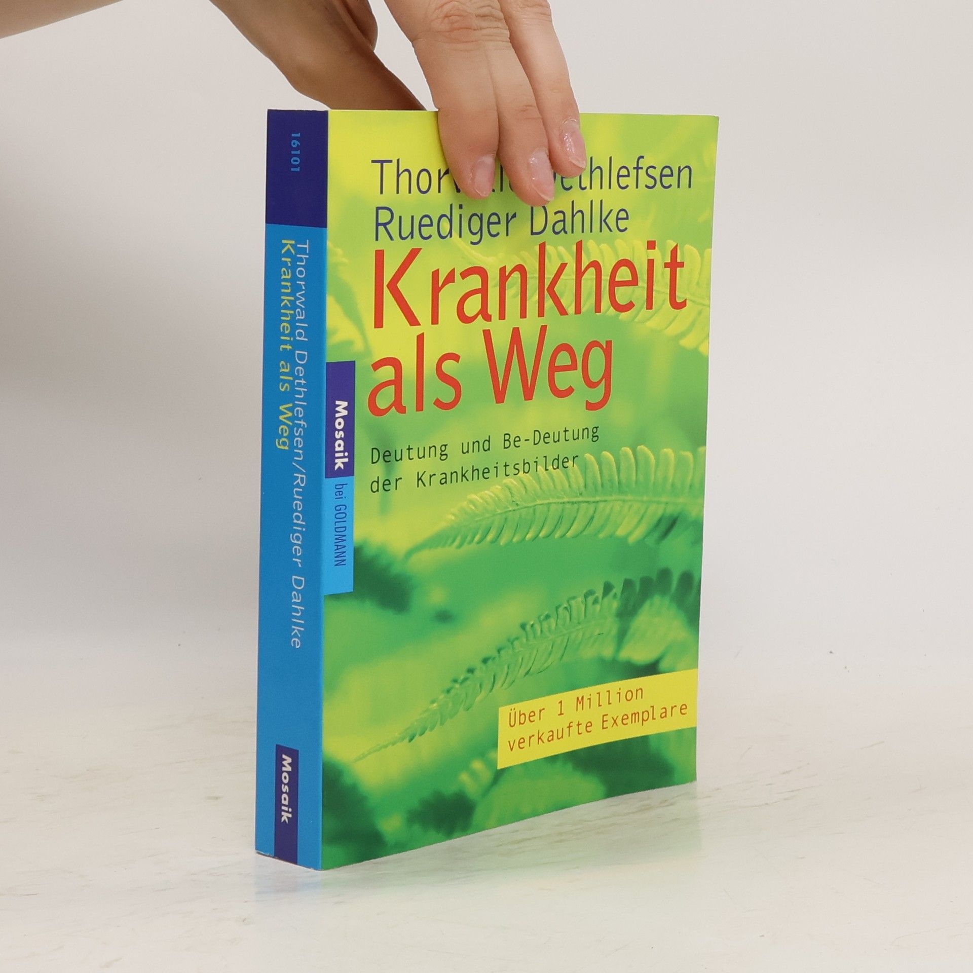 Ruediger Dahlke Krankheit als Weg