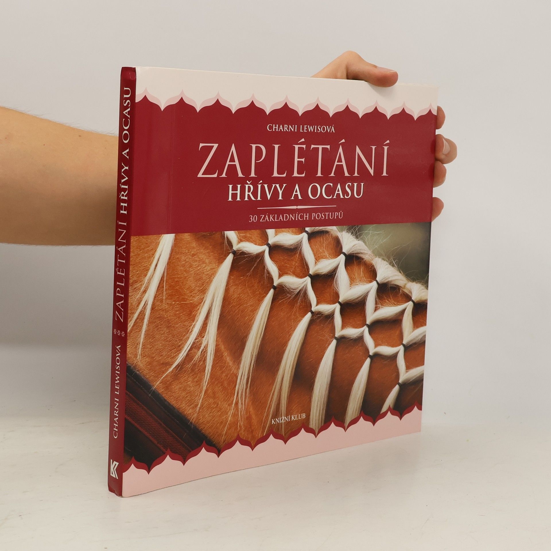 Zaplétání hřívy a ocasu