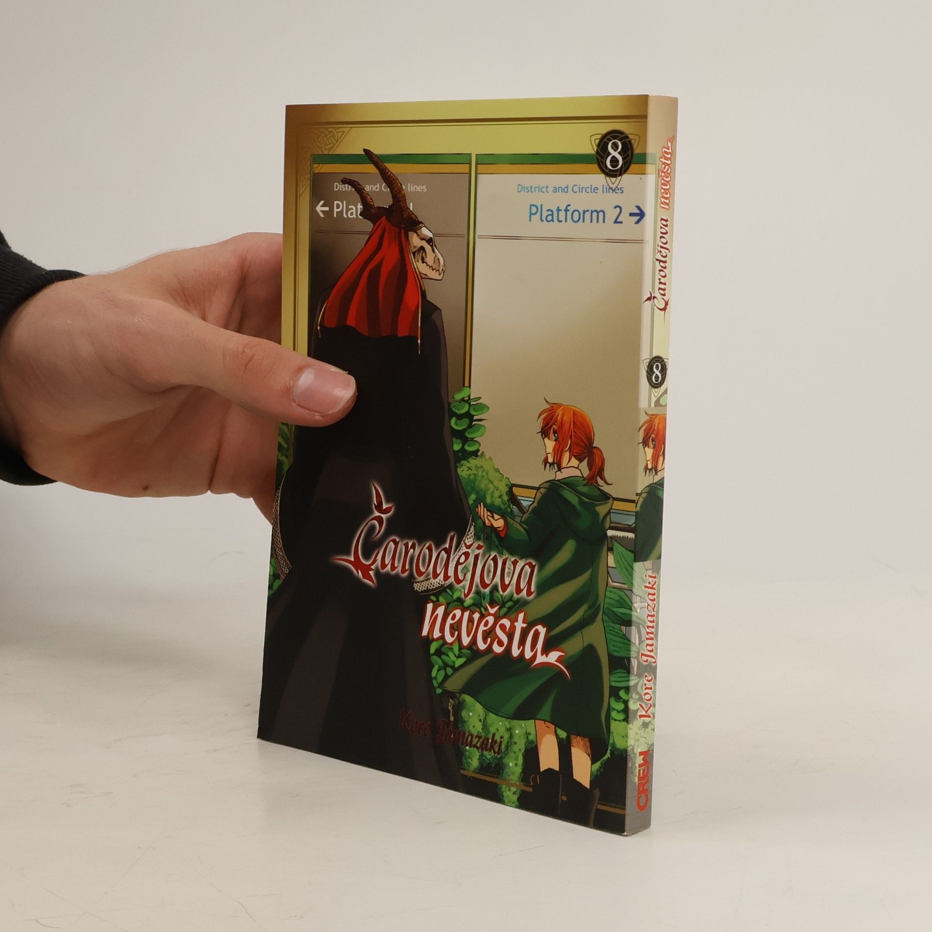 Kore Jamazaki Čarodějova nevěsta 8
