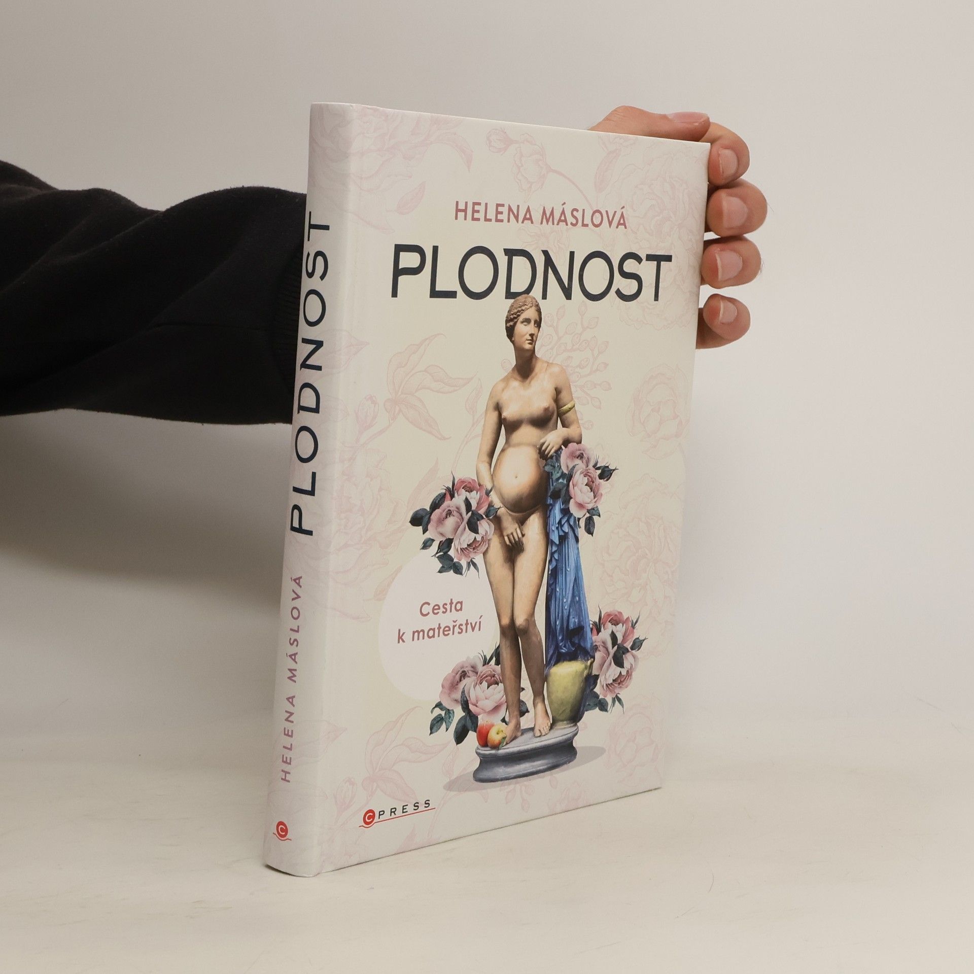 Helena Máslová Plodnost : cesta k mateřství