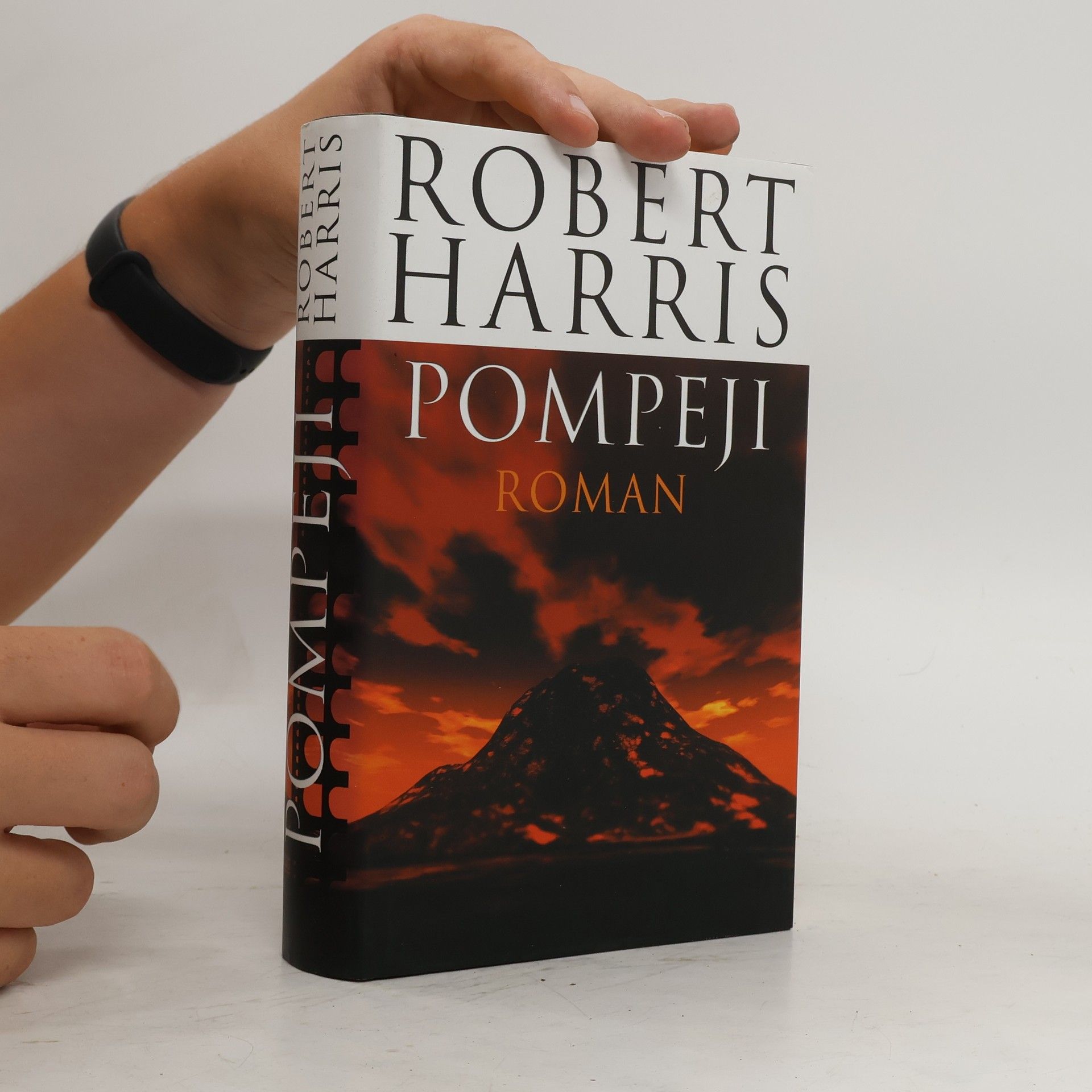 Robert Harris Pompeji