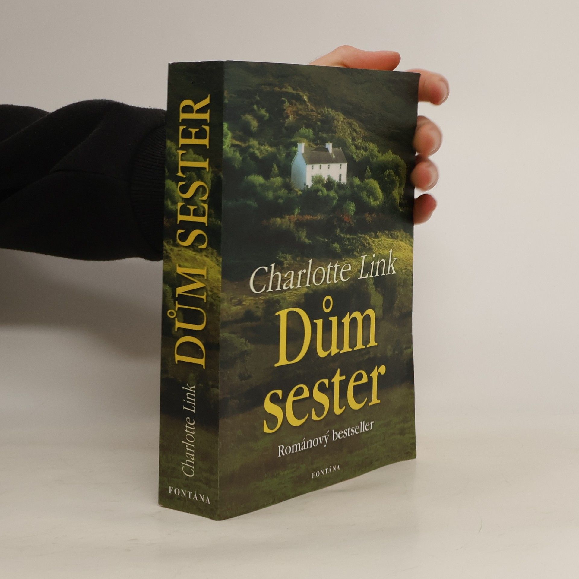 Charlotte Link Dům sester