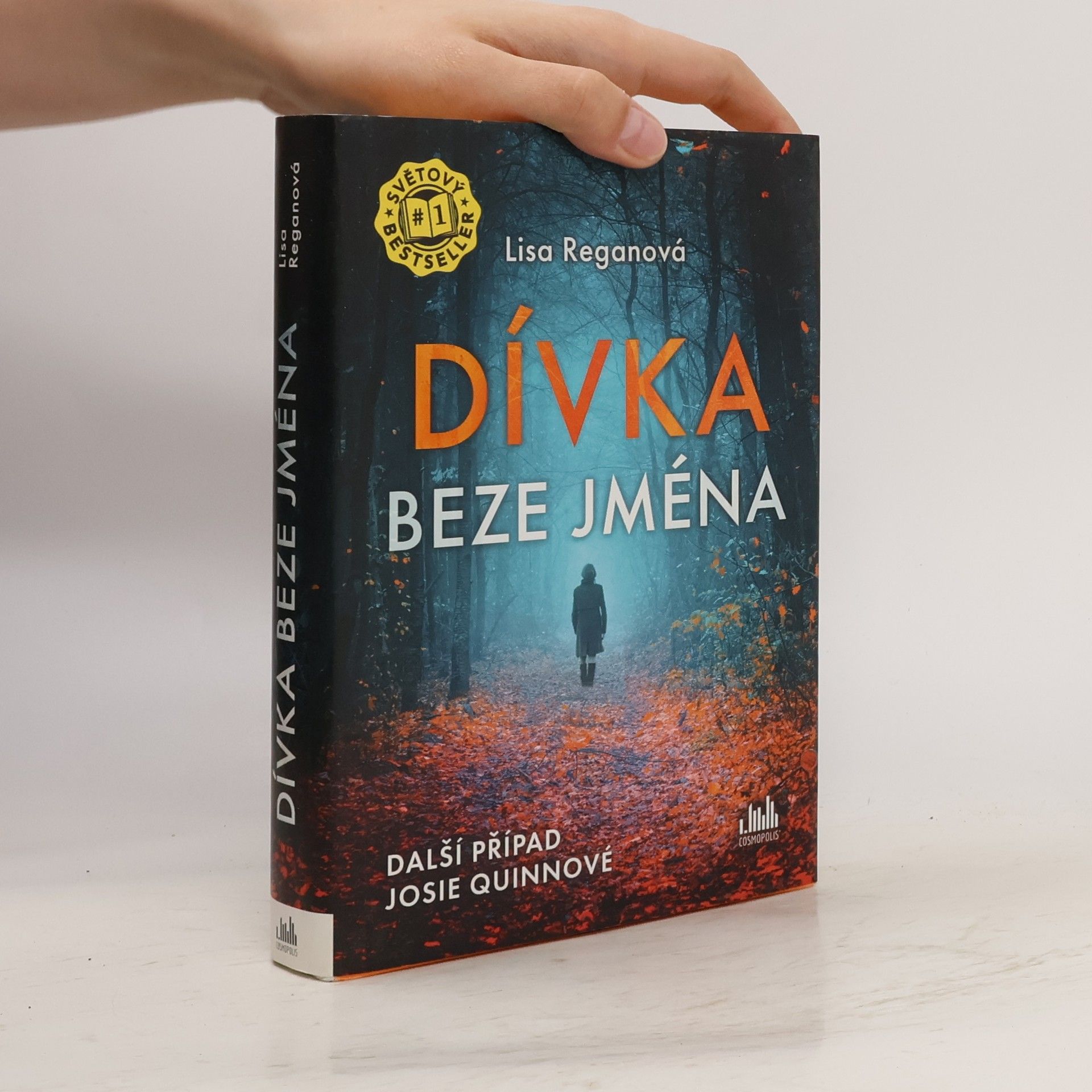 Lisa Regan Dívka beze jména: Další případ Josie Quinnové