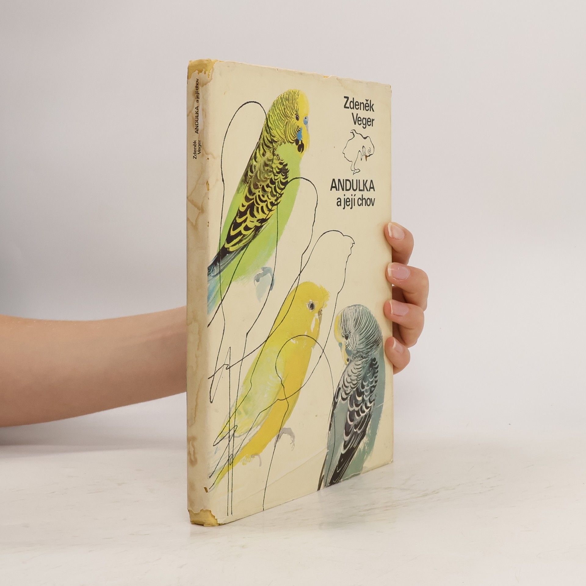 Andulka a její chov