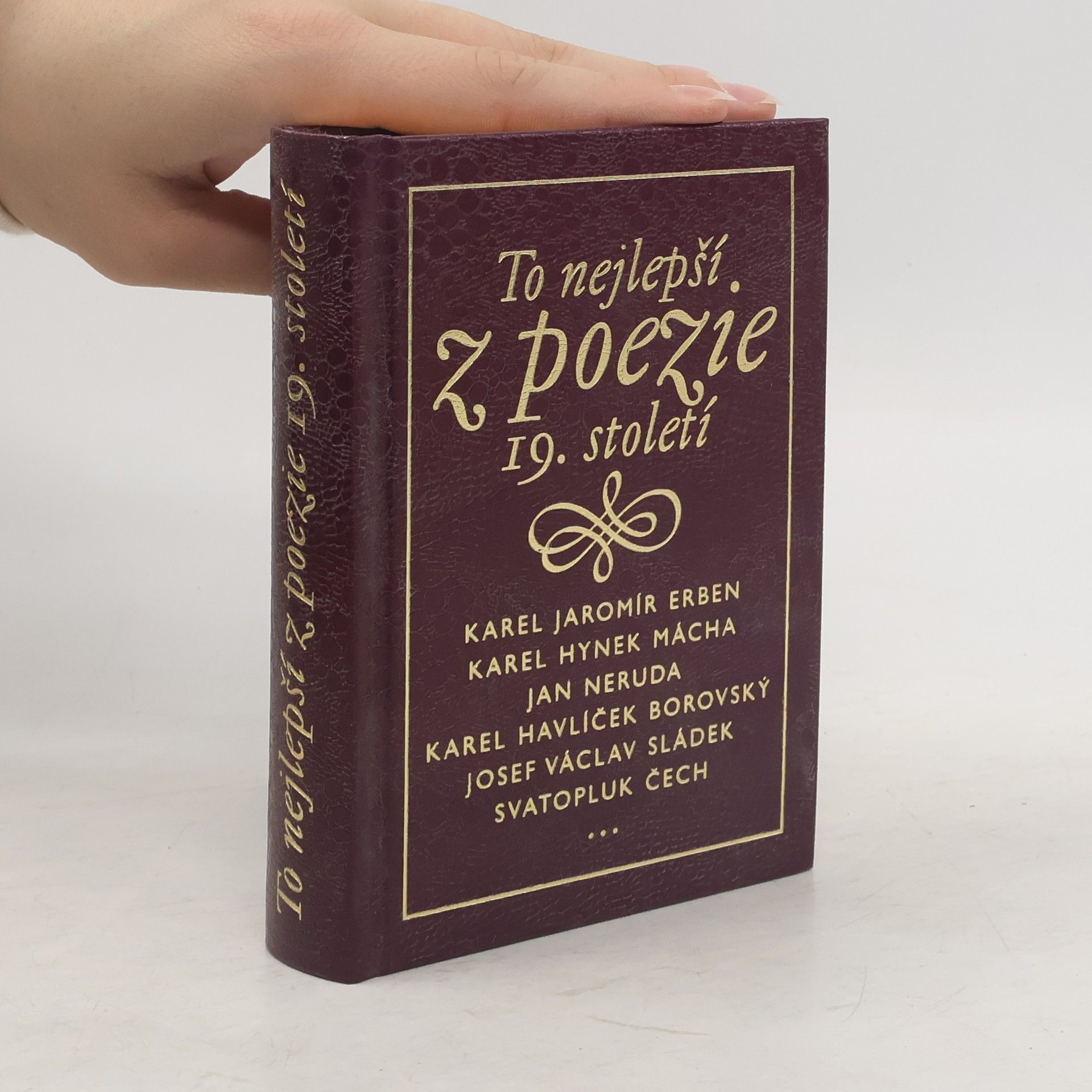 Kolektív autorov To nejlepší z poezie 19. století