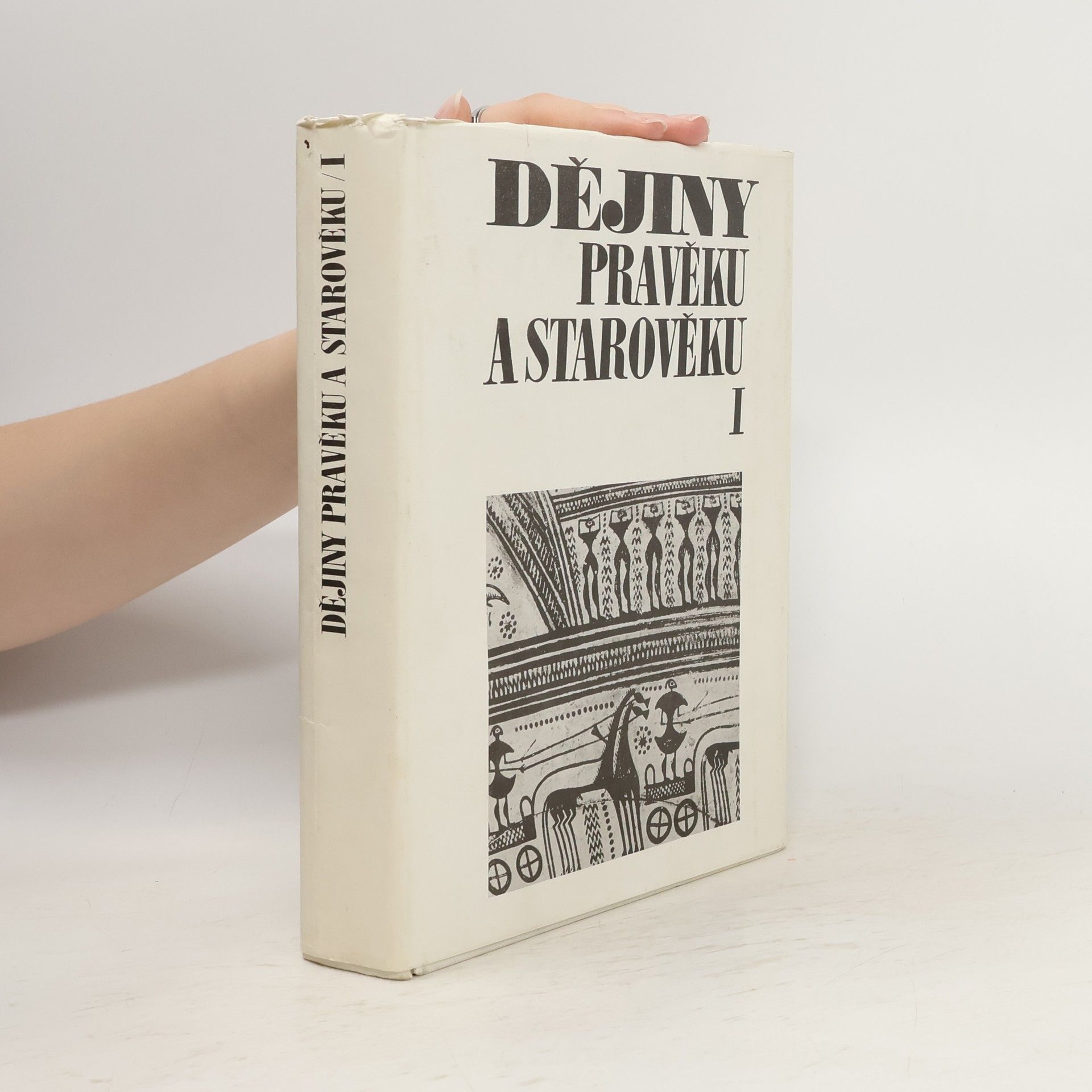 Auteurscollectief Dějiny pravěku a starověku I.