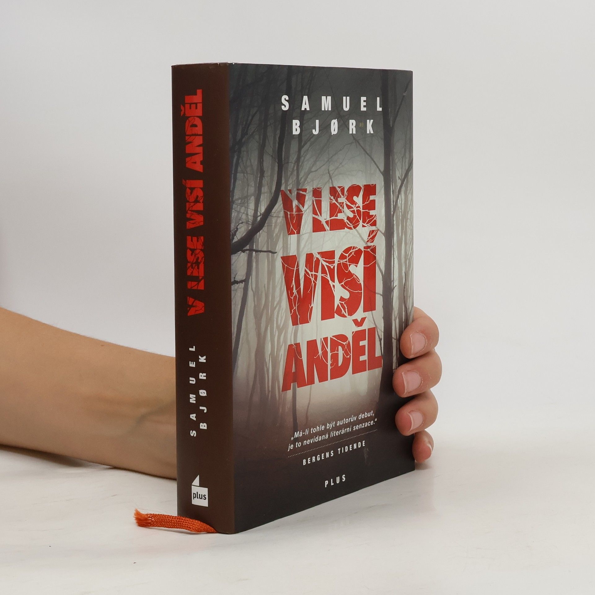 Samuel Bjork V lese visí anděl