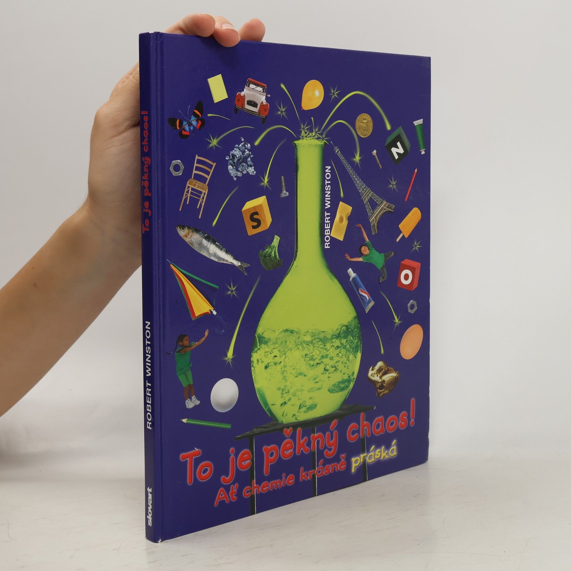 Robert Winston To je pěkný chaos!